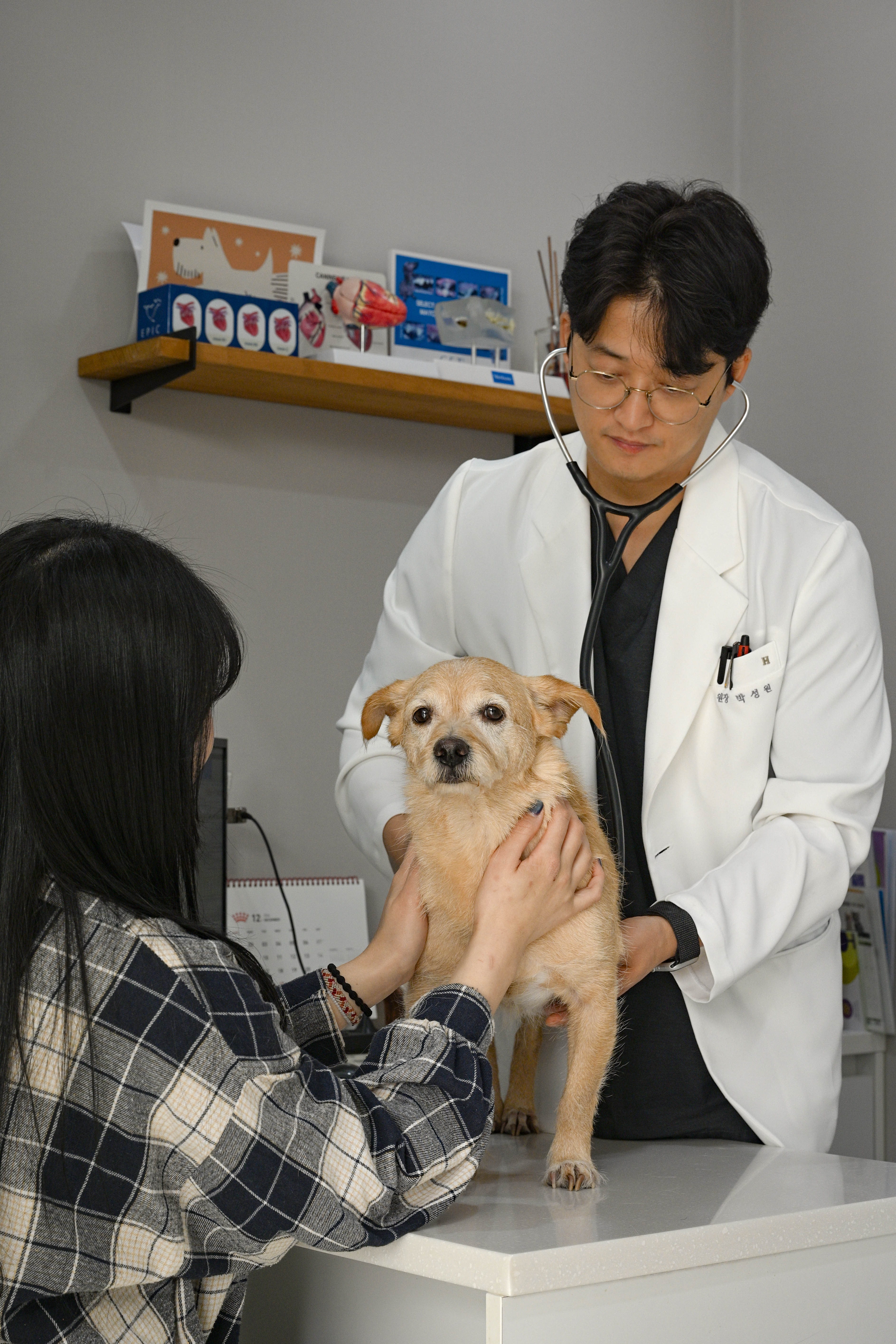 일산클래식동물병원 이미지
