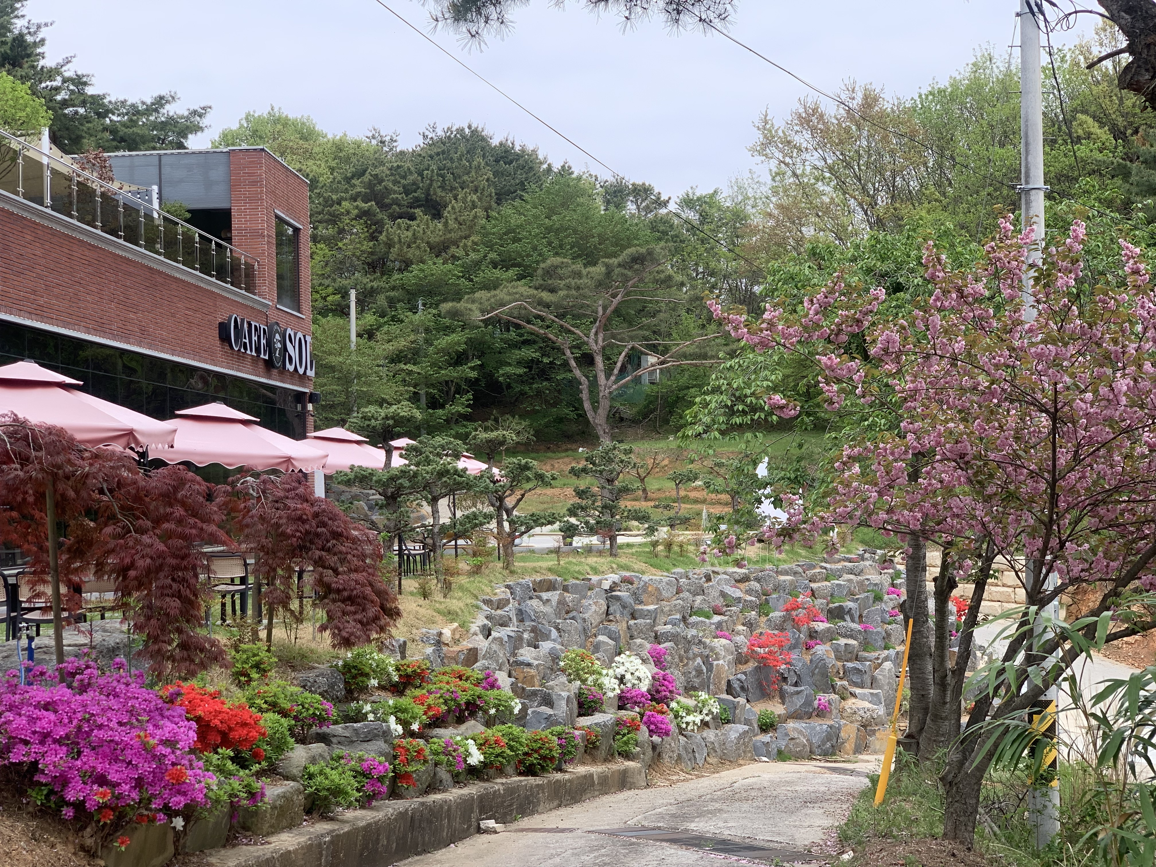 솔카페