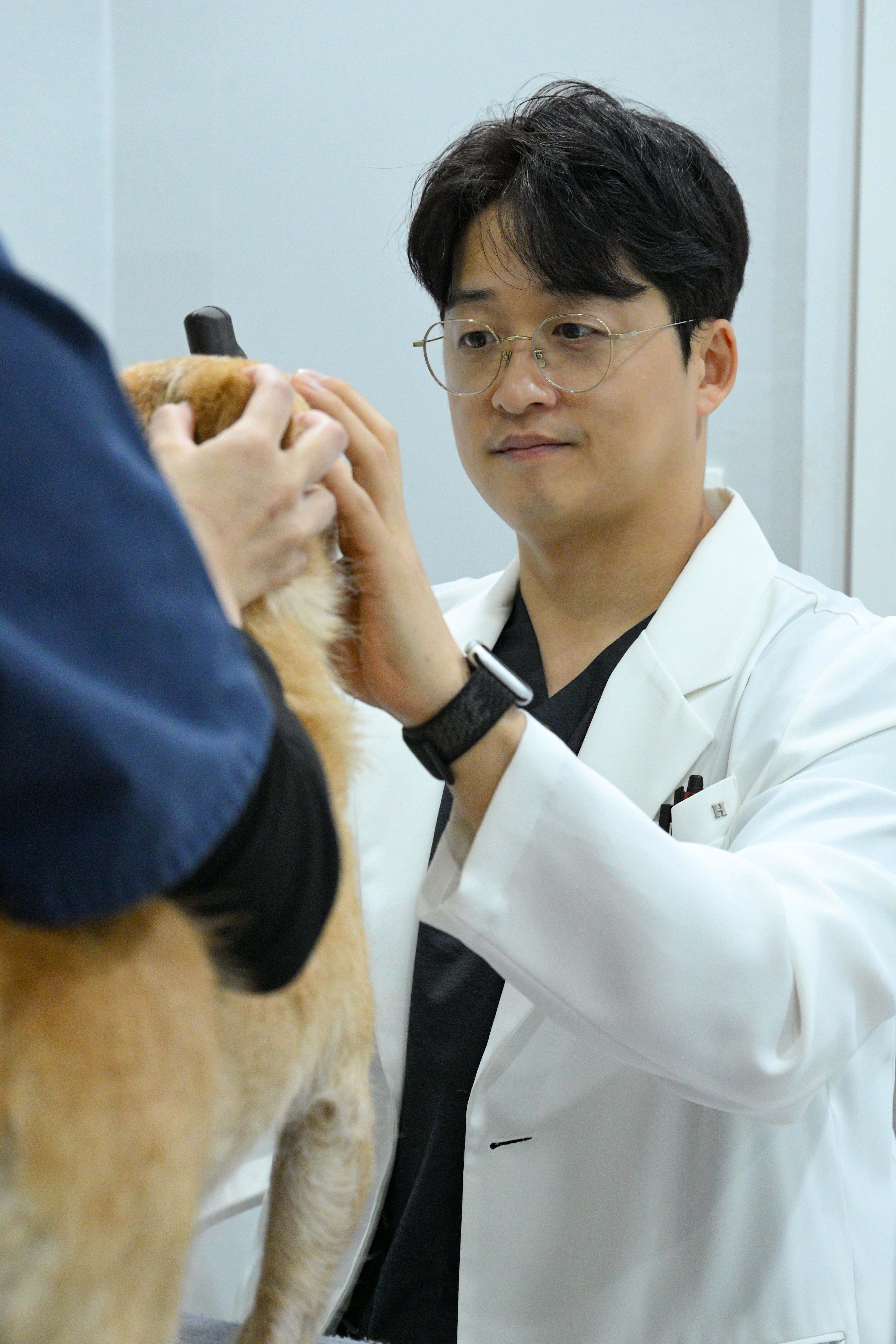 일산클래식동물병원 대표 이미지