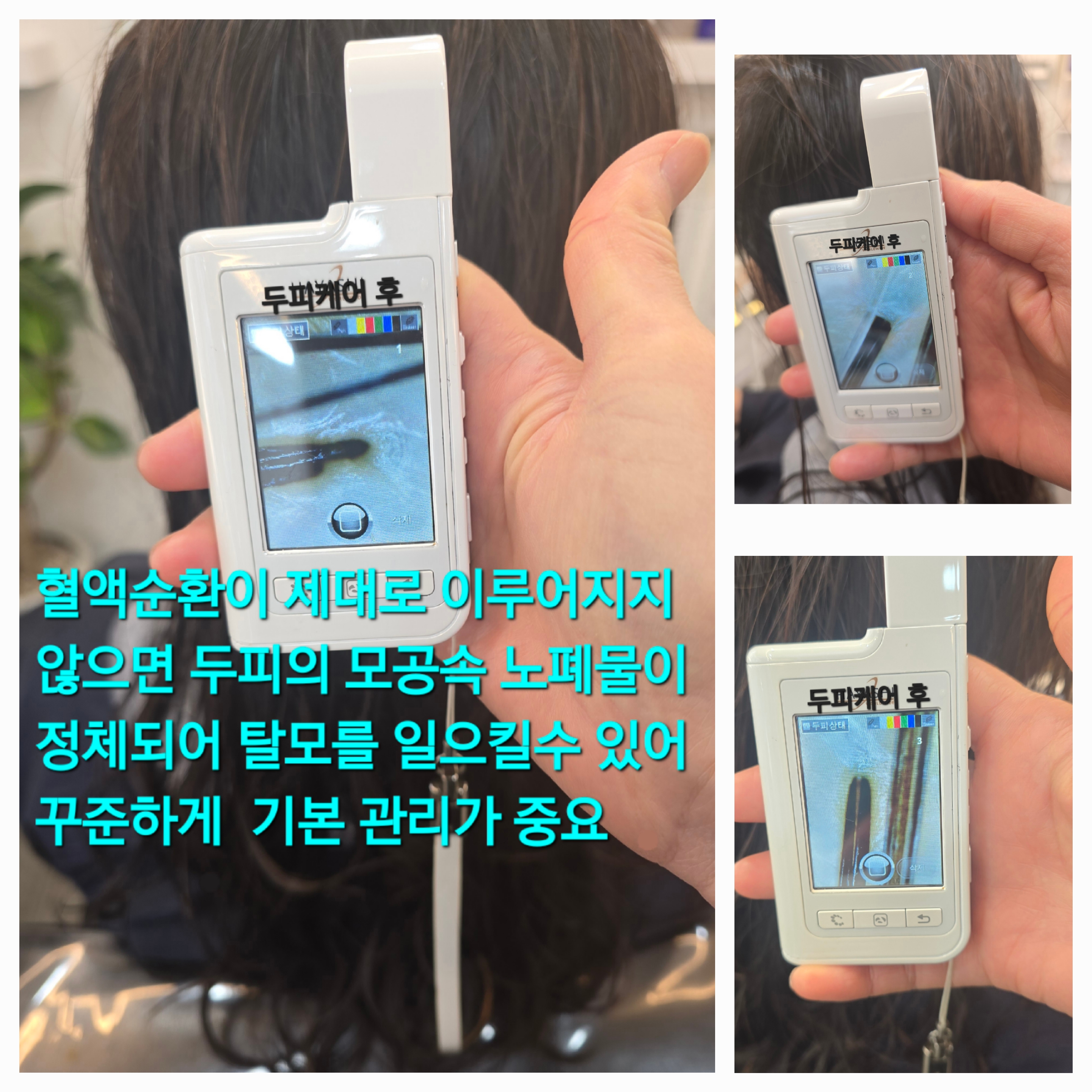 루다헤어 대표 이미지