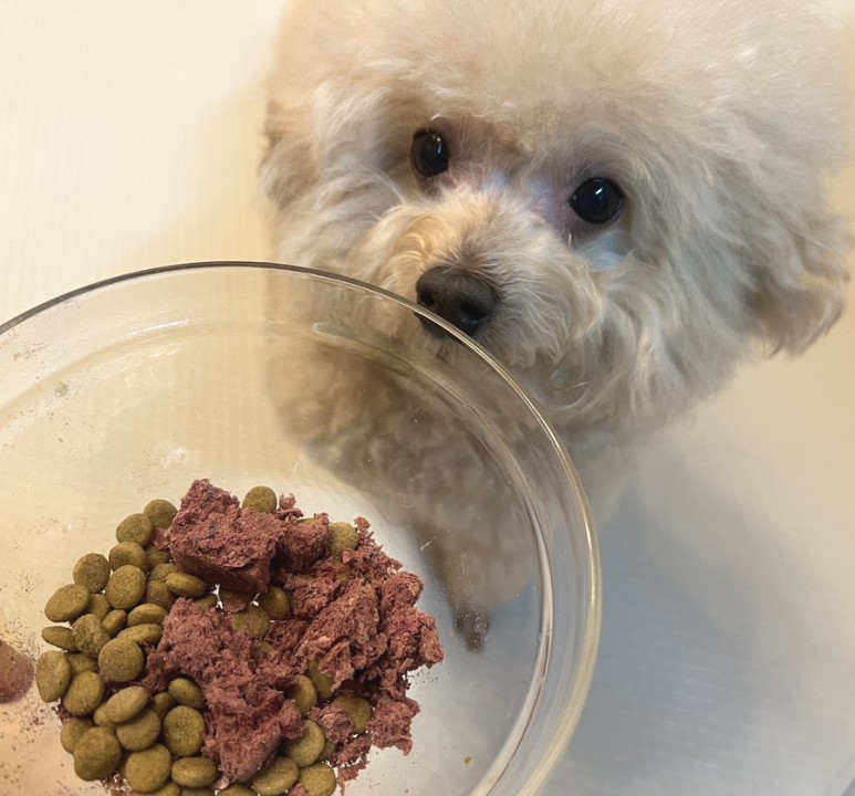 코니멀하우스 대표 이미지