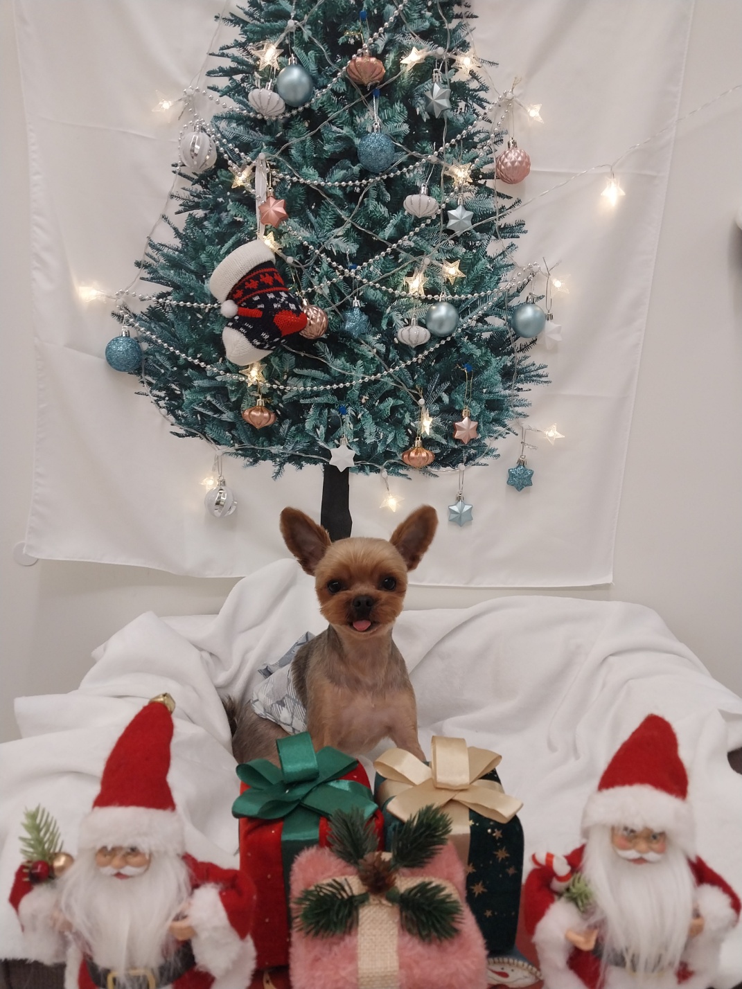 쁘띠르시앙 대표 이미지