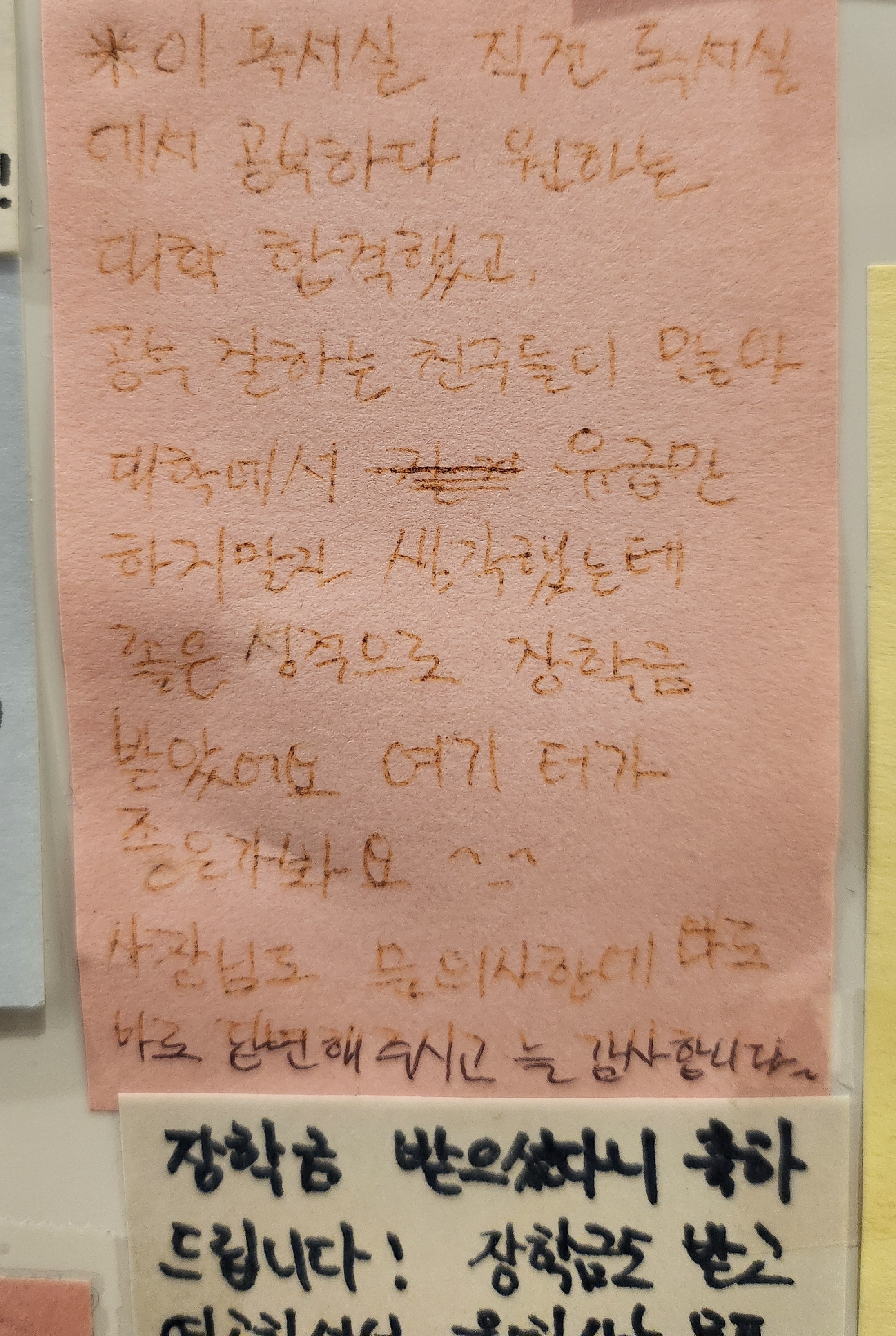 업체사진