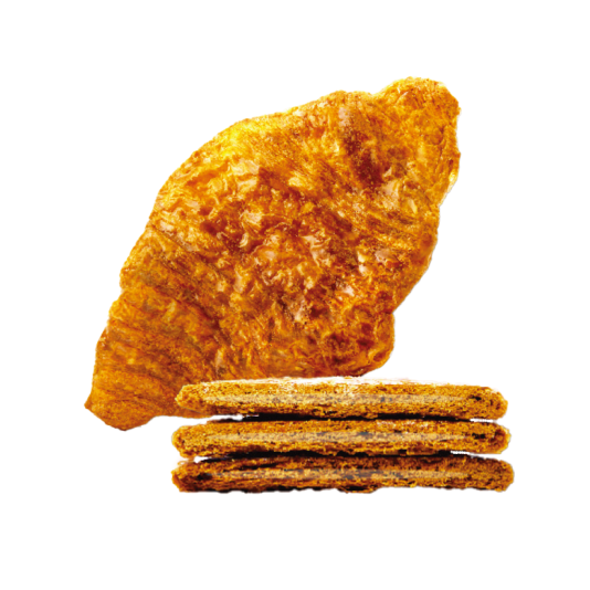 커피니 정부과천청사2동점