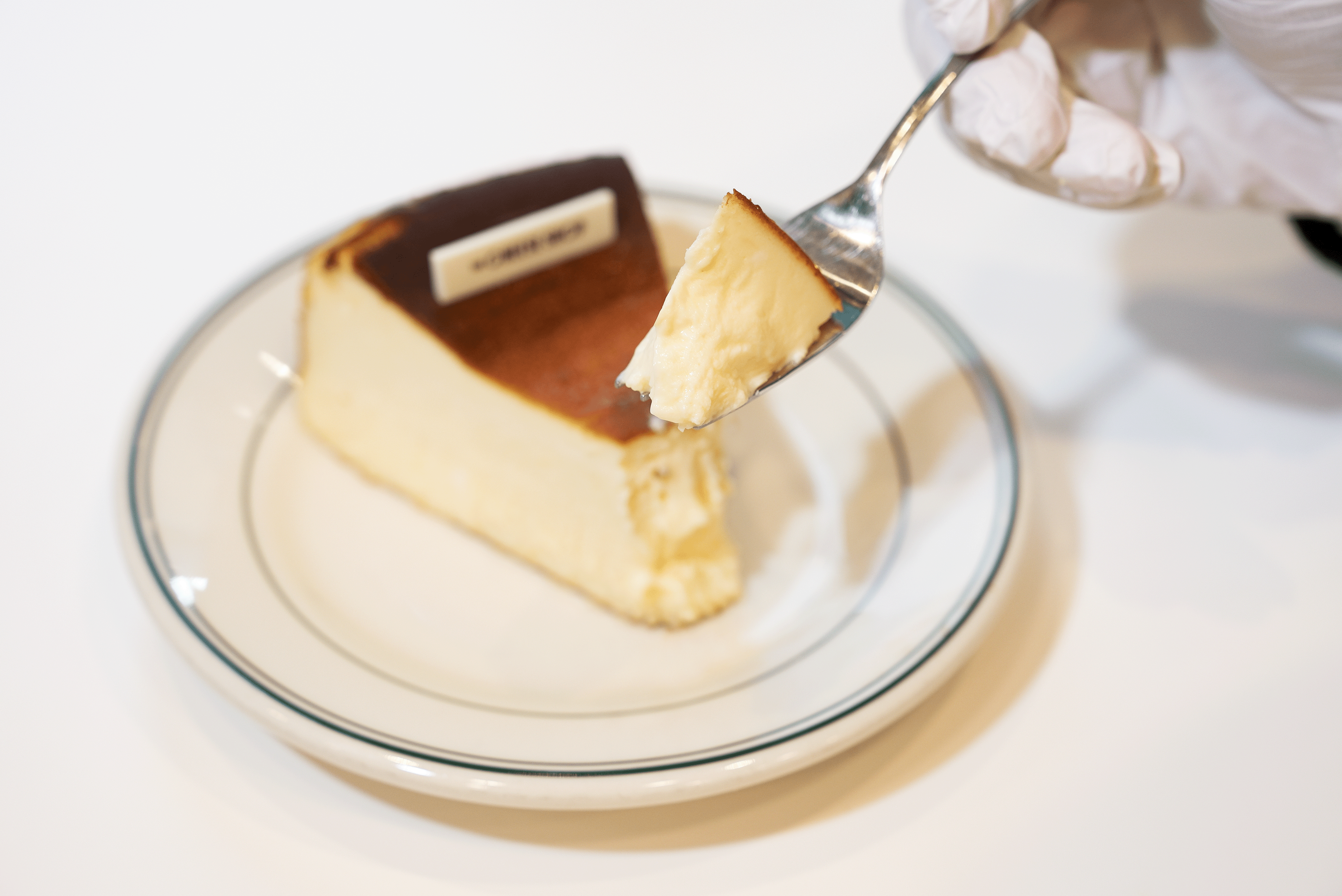 더치즈샵 강남구청점 내부 또는 관련 모습