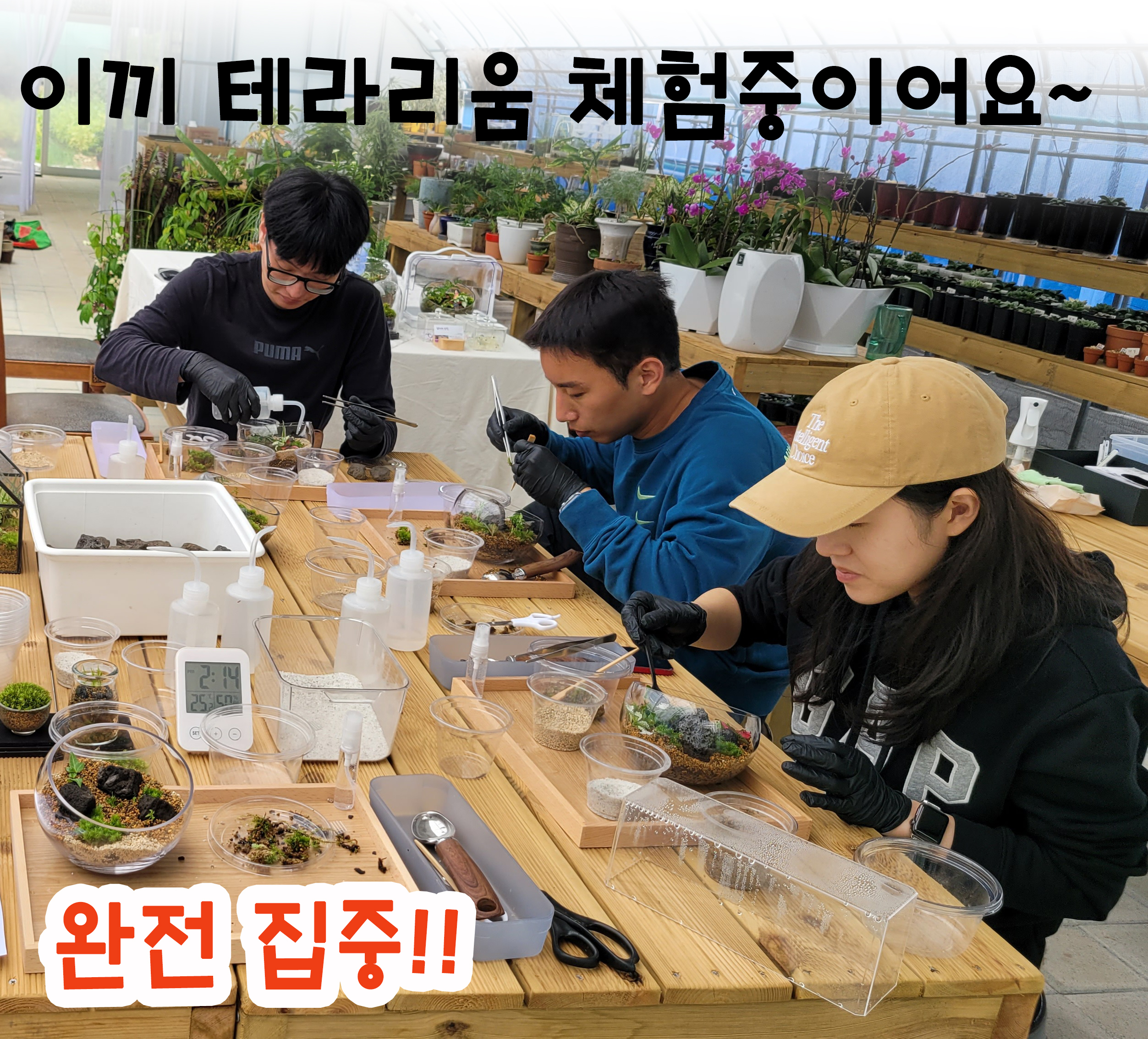 향미의정원