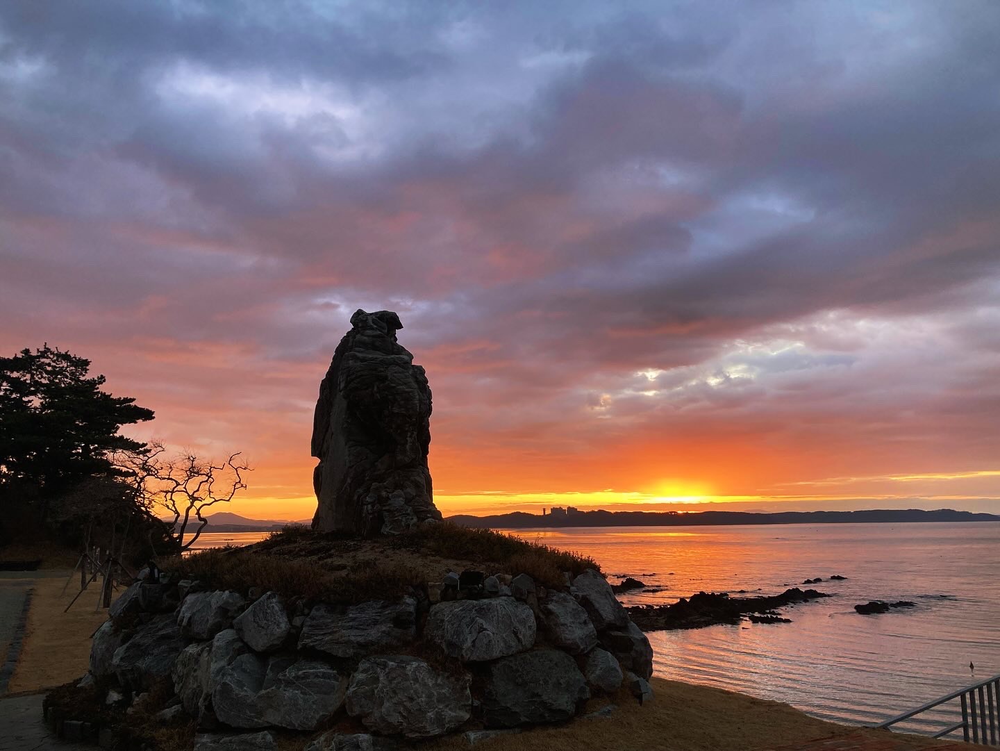 캠핑드림 캠핑장