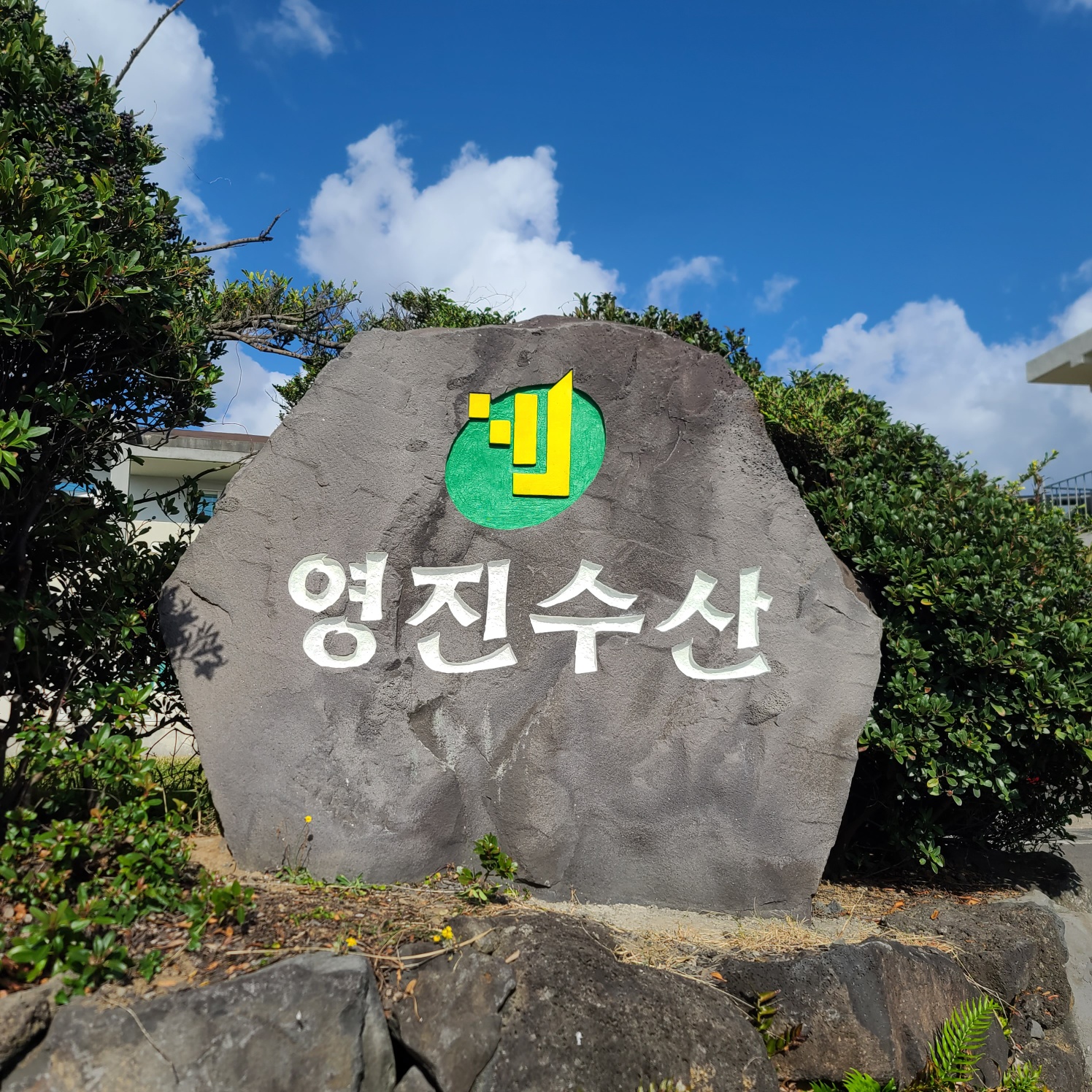 영진영어조합법인