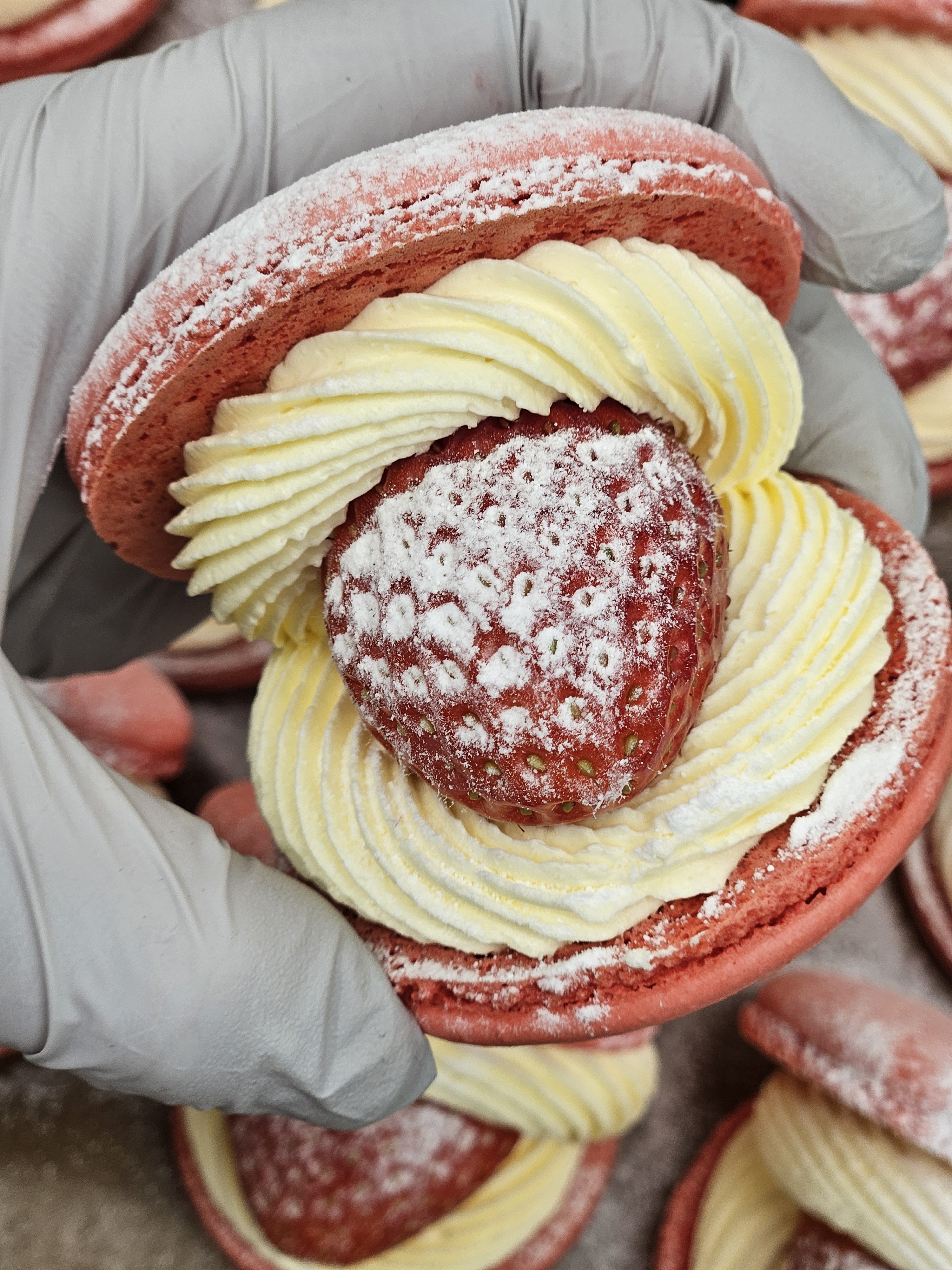 수잔스베이킹 대표 이미지