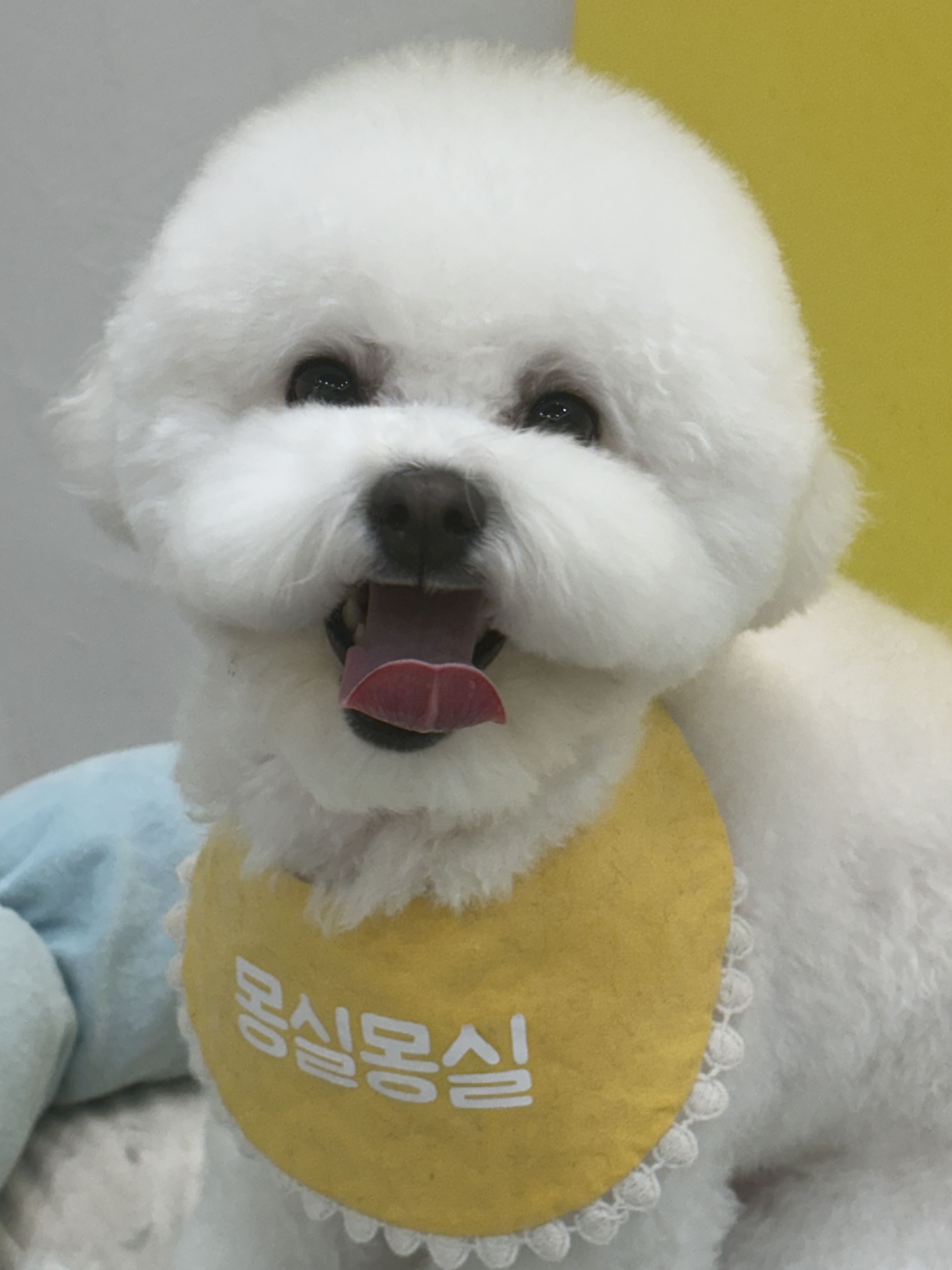 몽실몽실