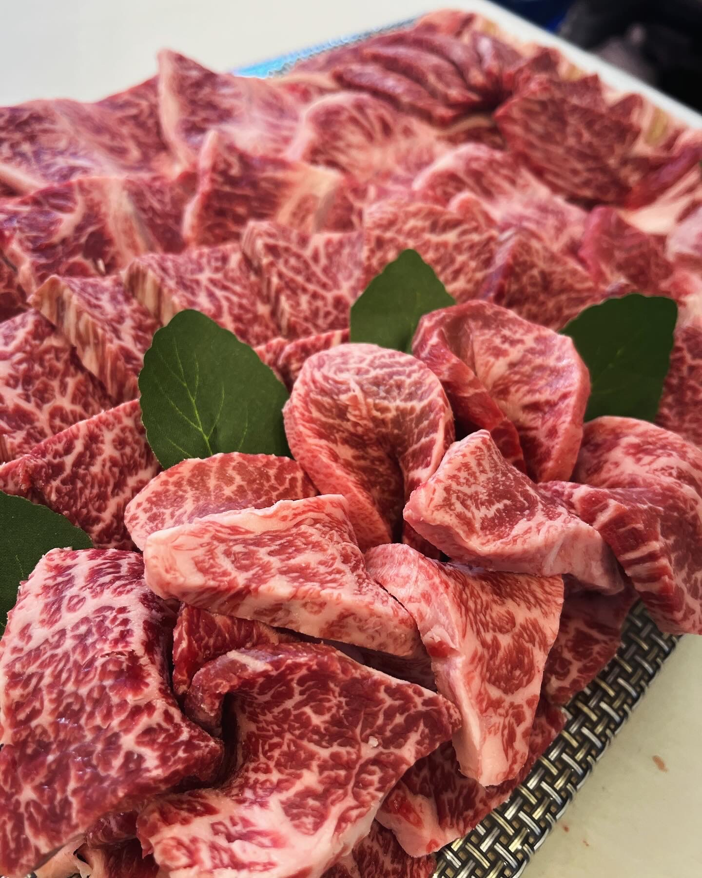매돈정육점