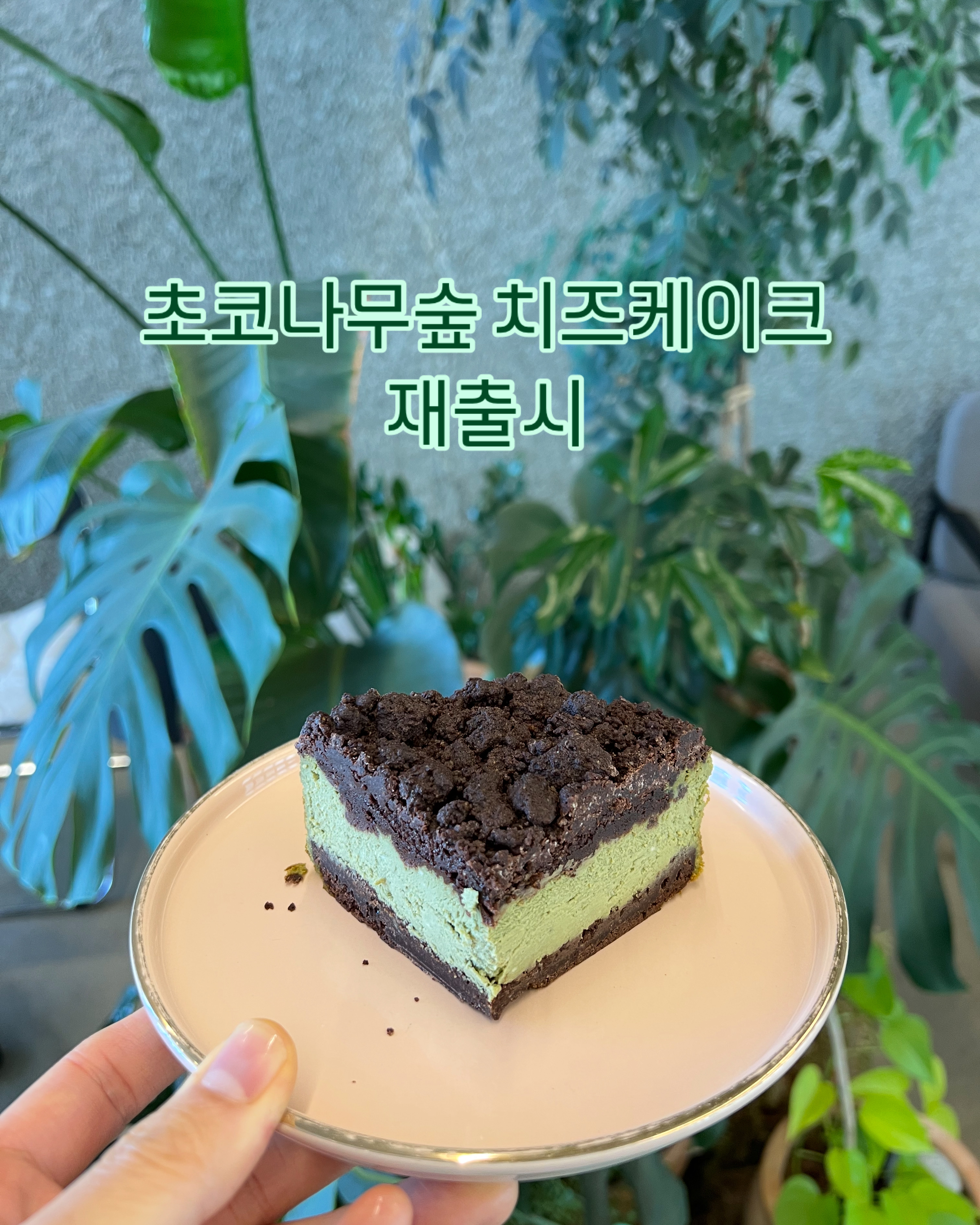 춘천로81 3