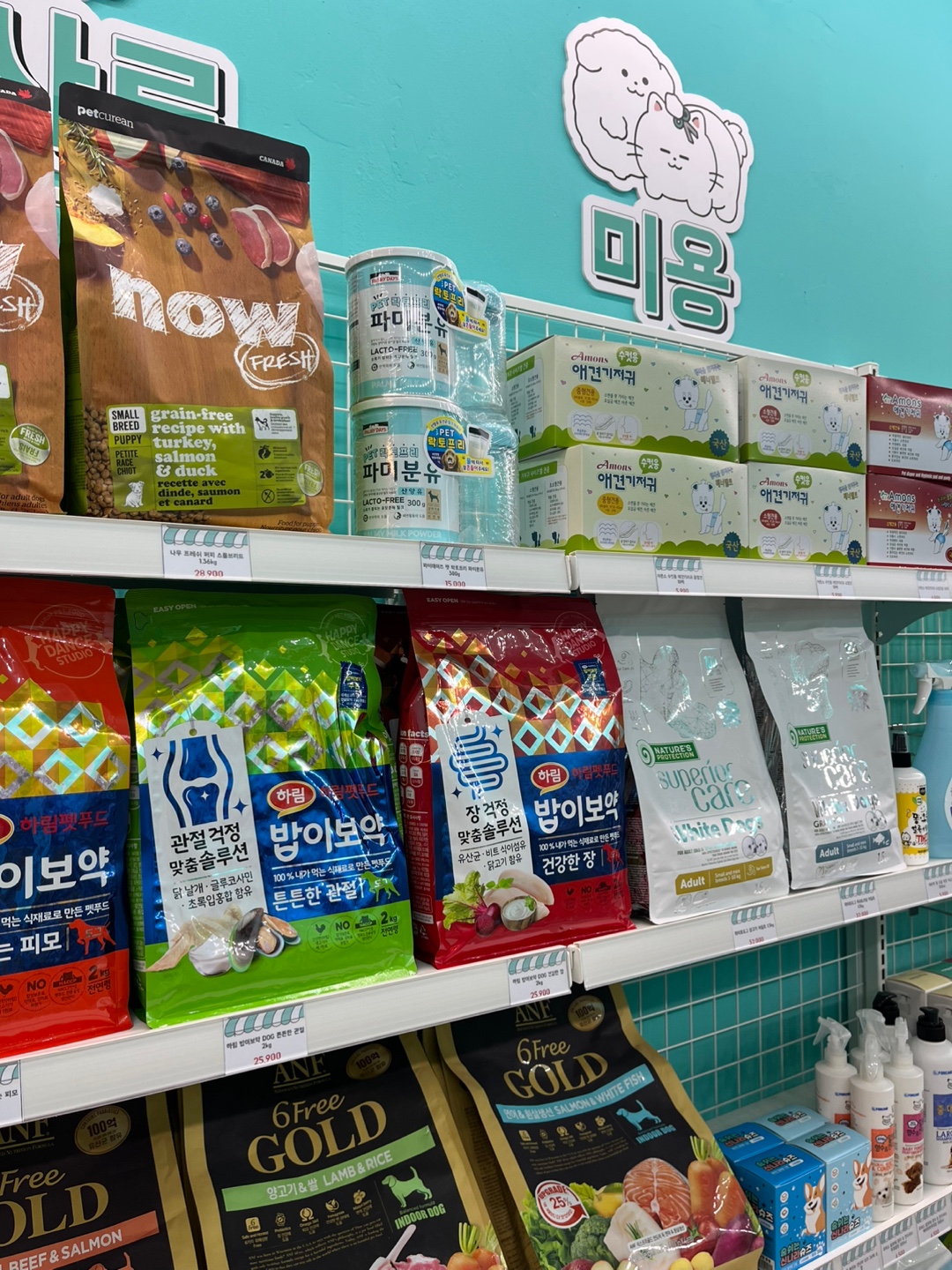 멍냥의민족 대표 이미지