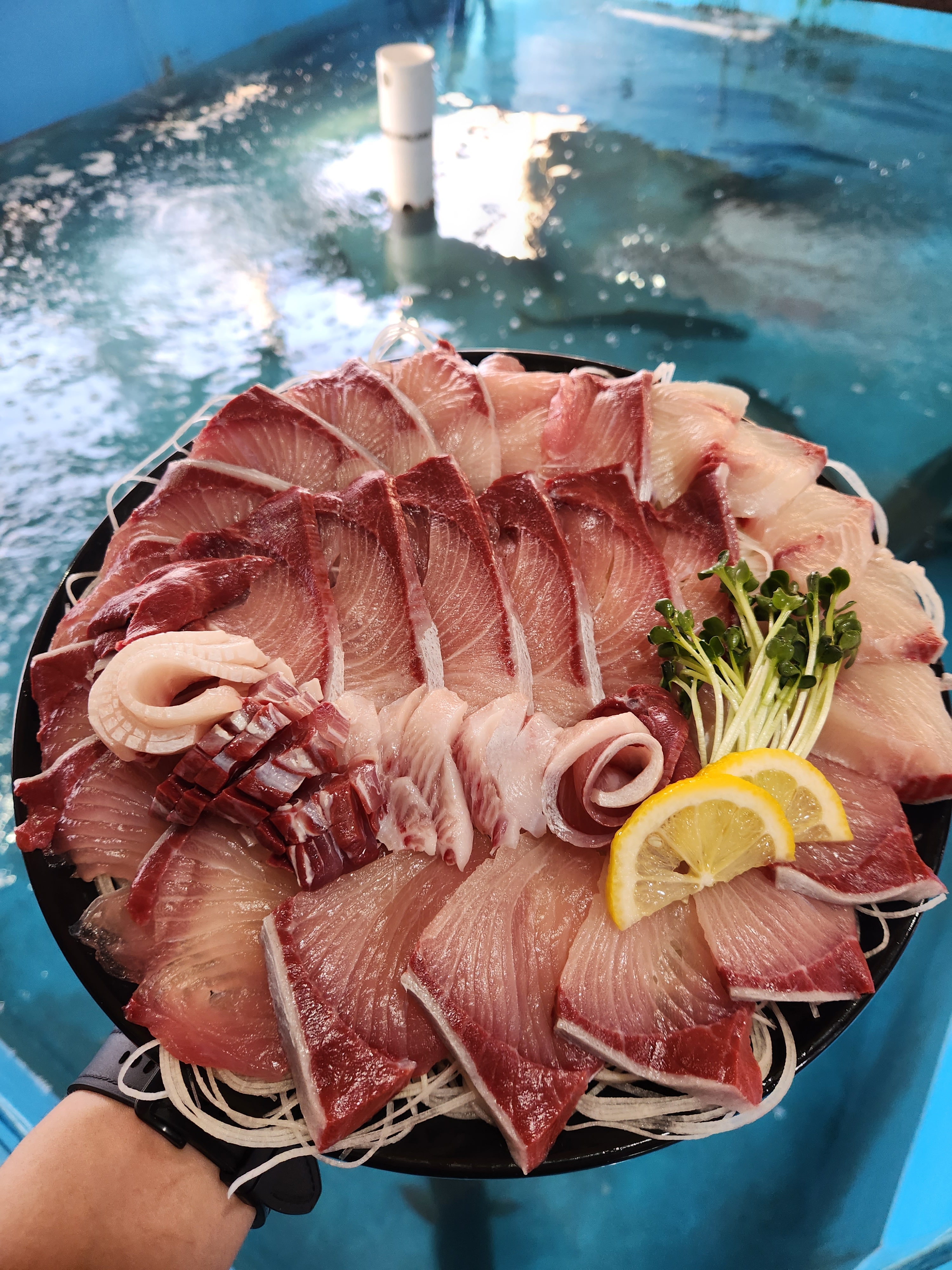 모슬포수산식당