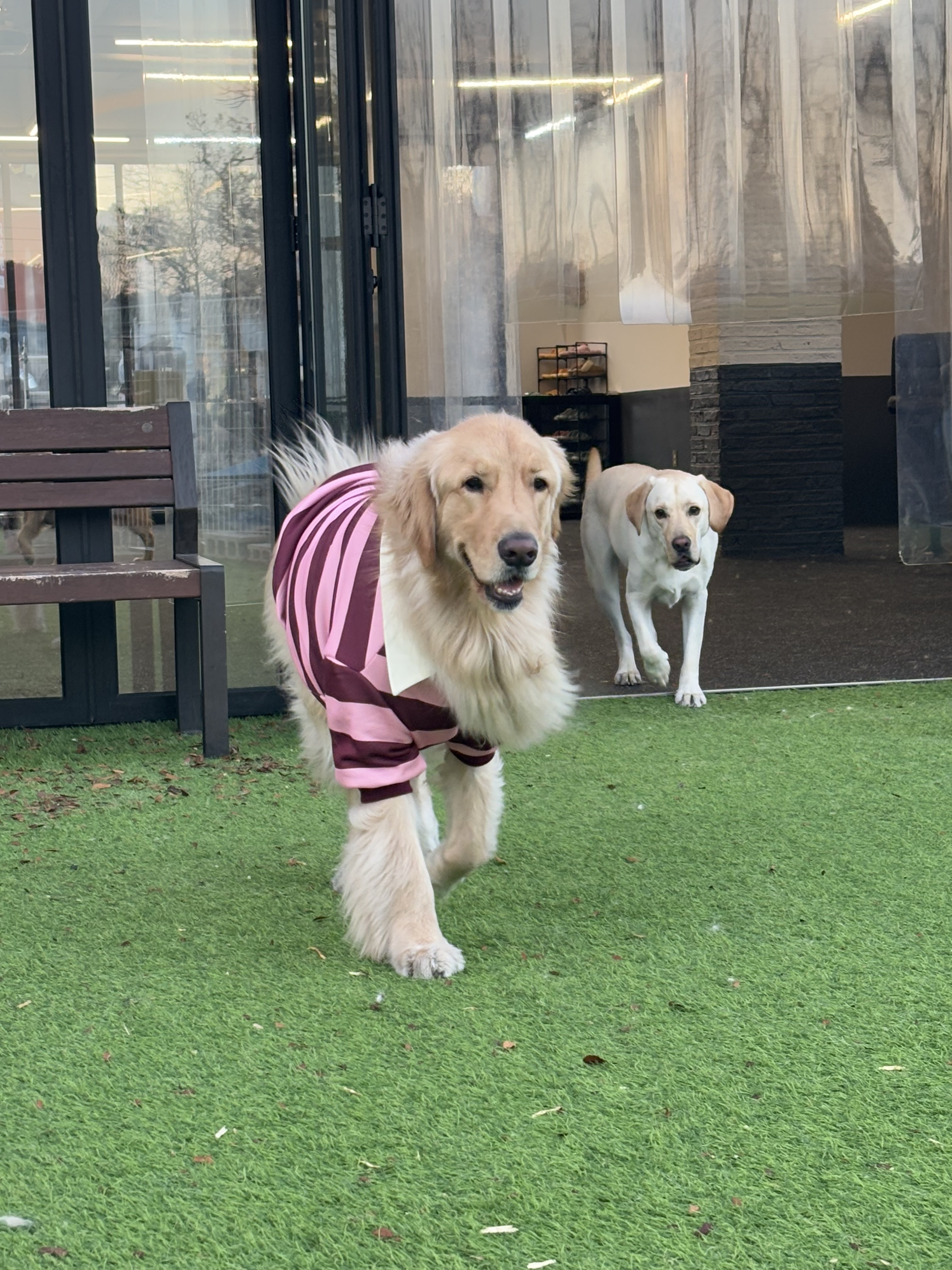 딩굴댕굴 대표 이미지