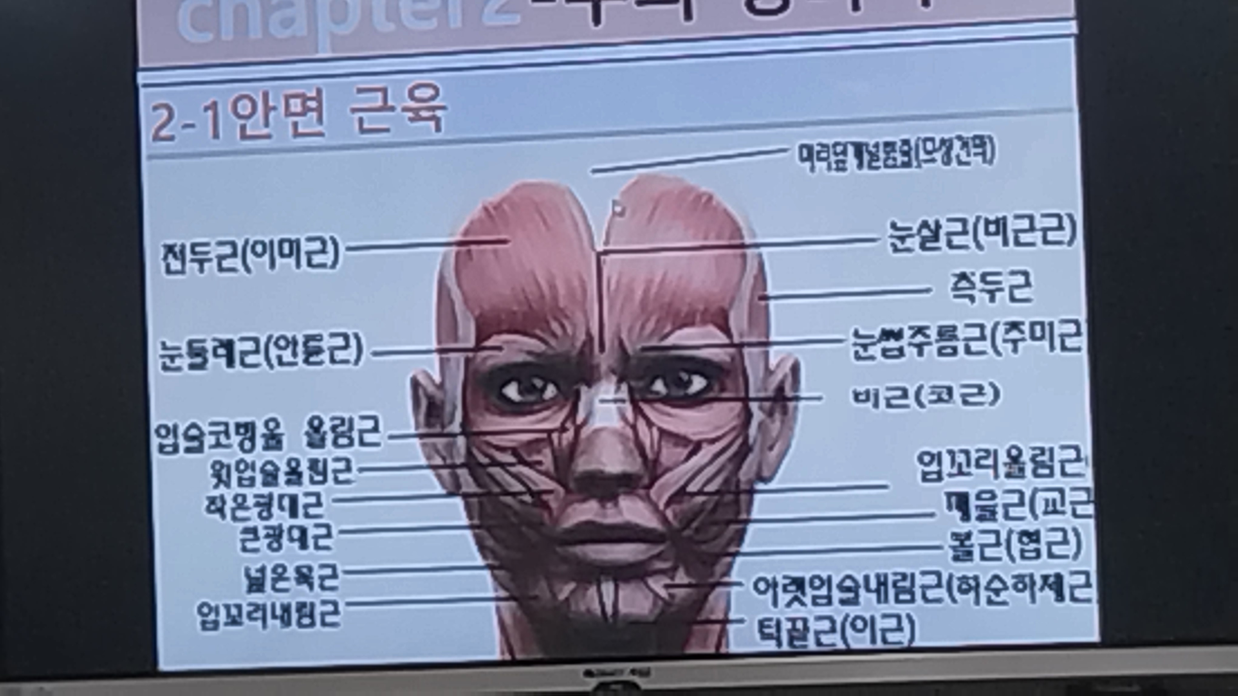 빈코스메틱