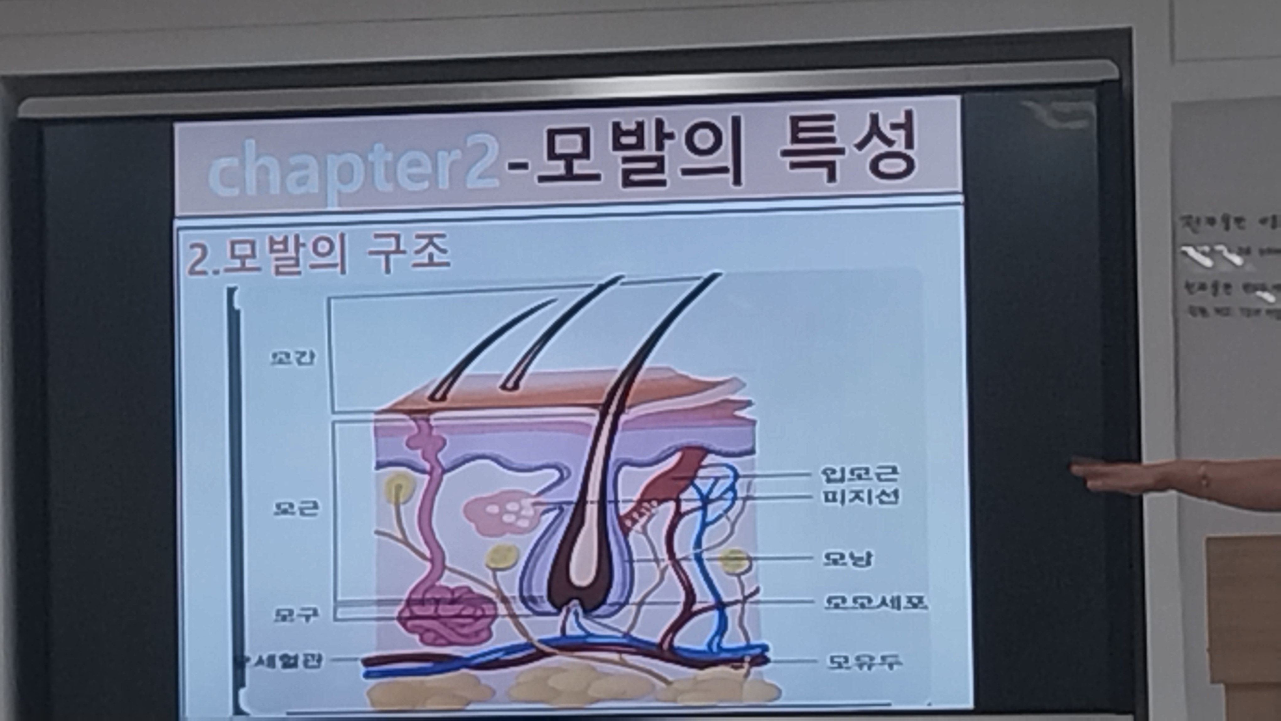 빈코스메틱