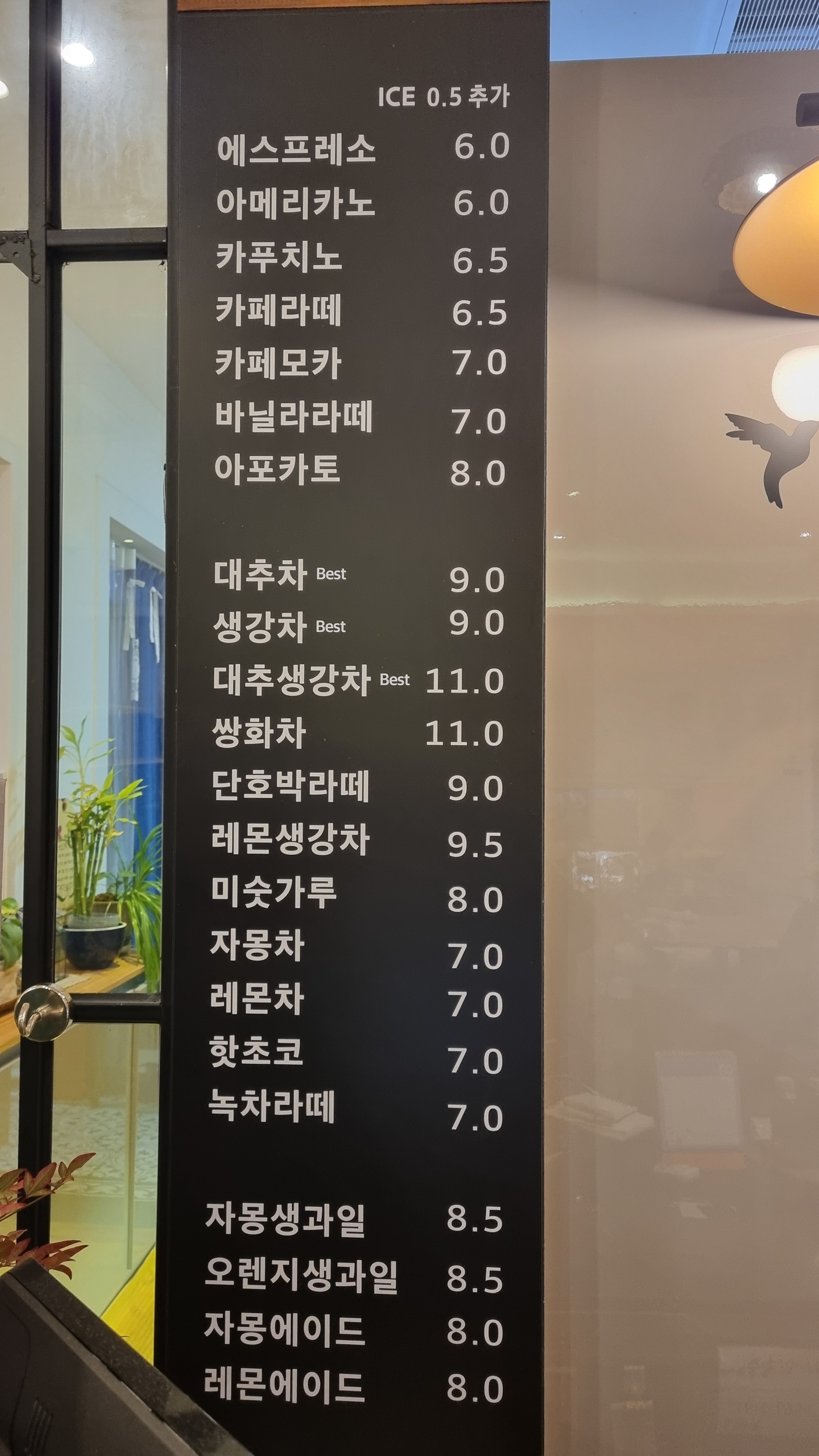 노아75 반려동물 동반 애견카페