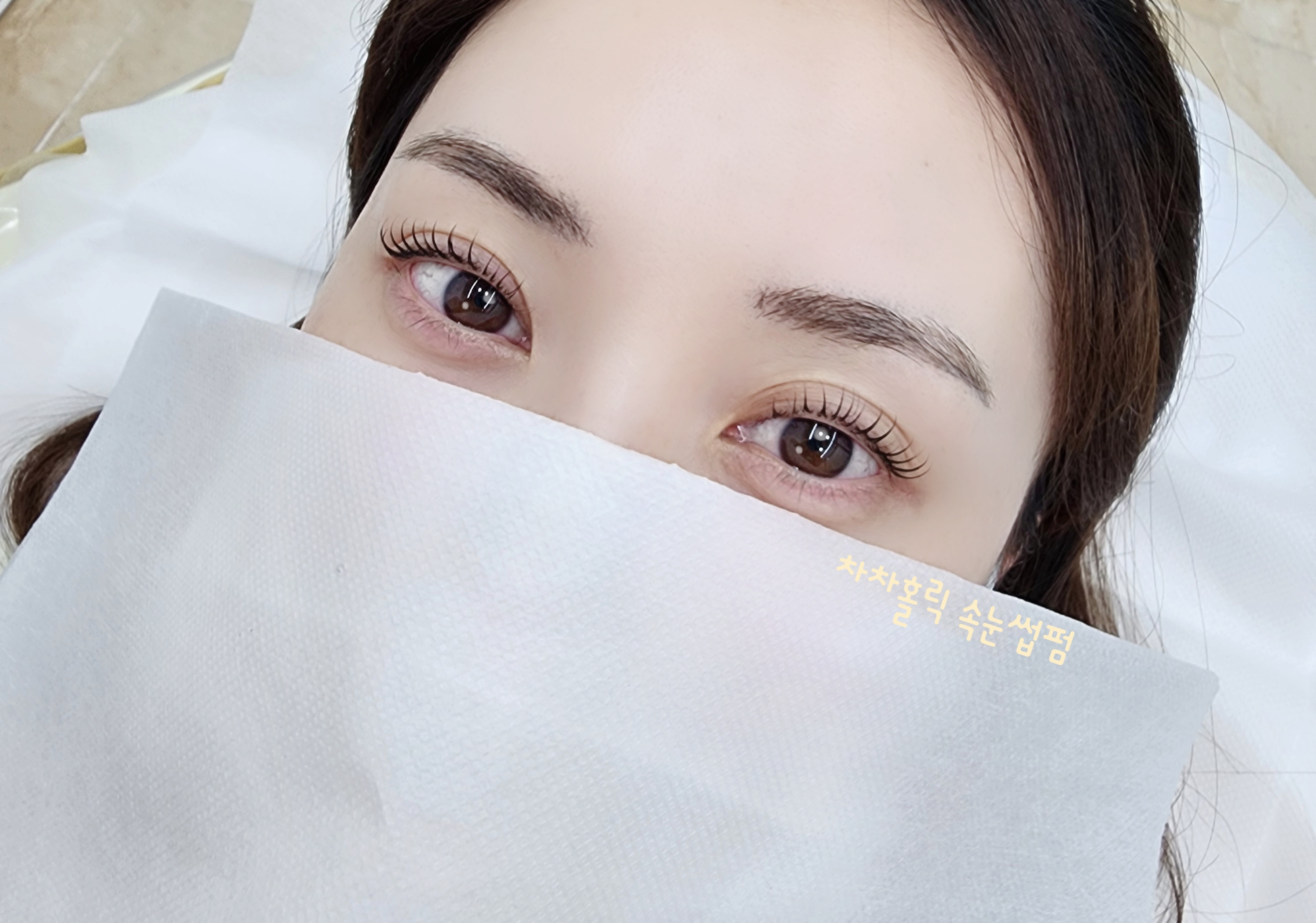 차차홀릭