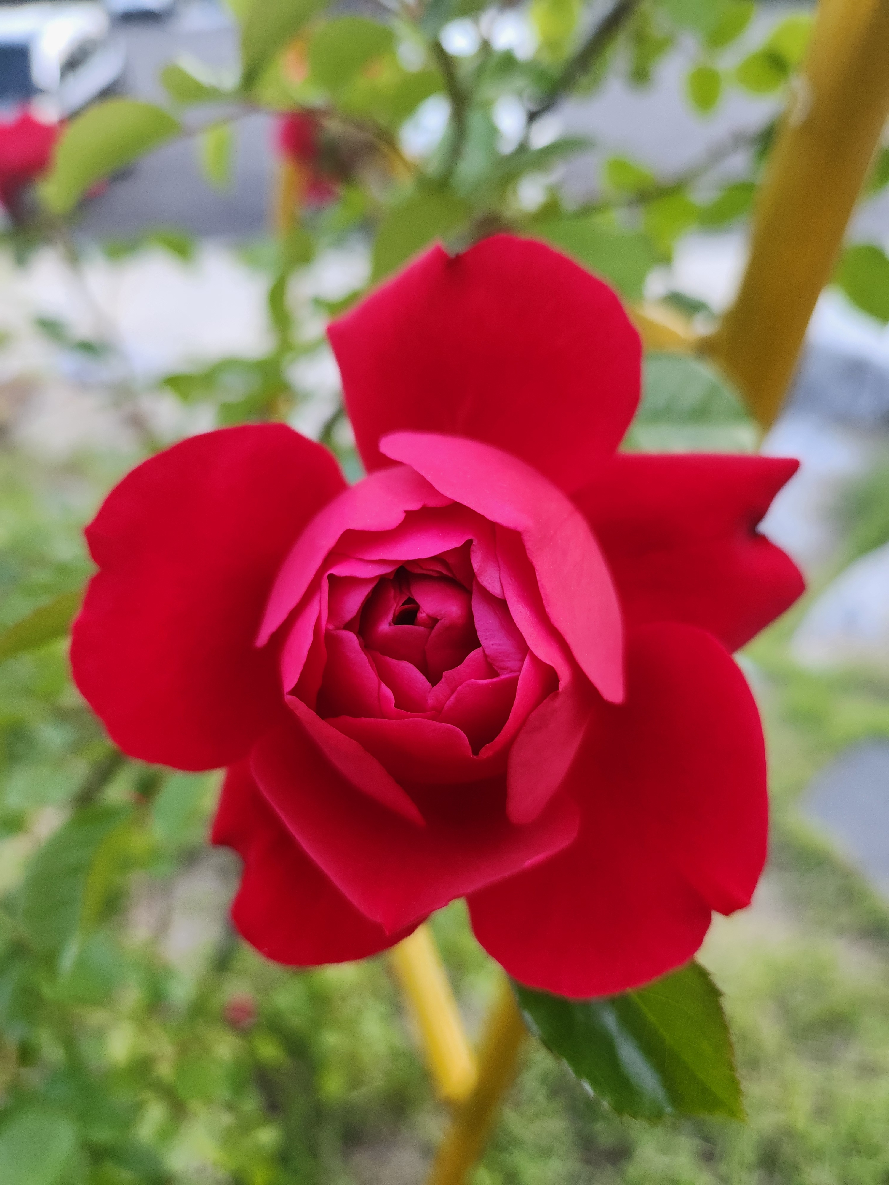 수라원