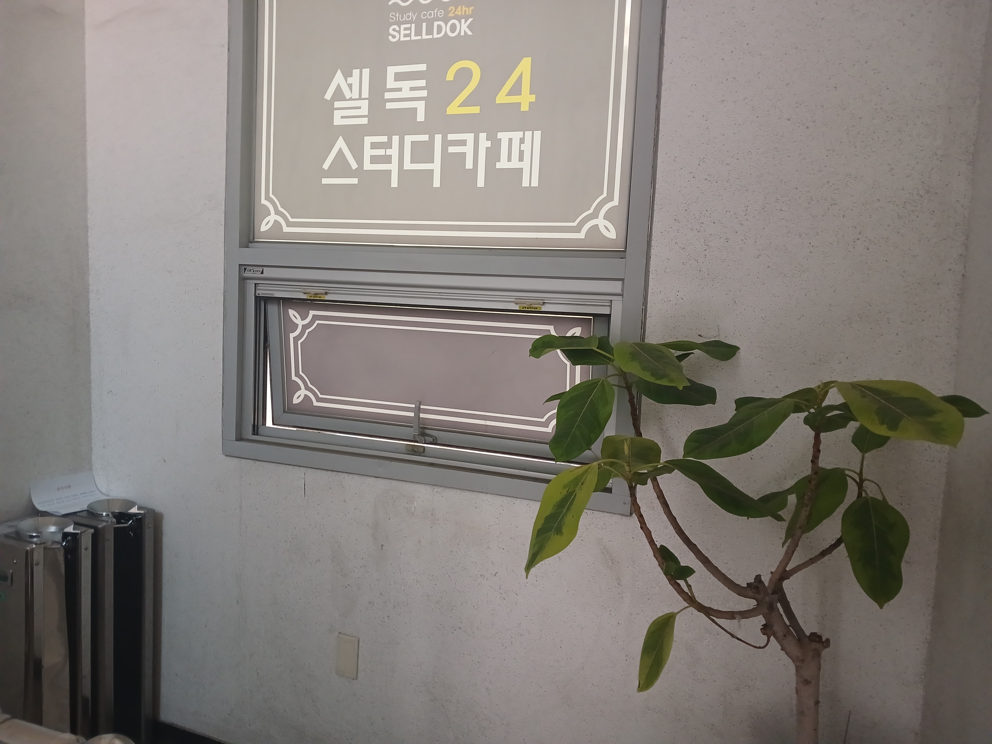 업체사진