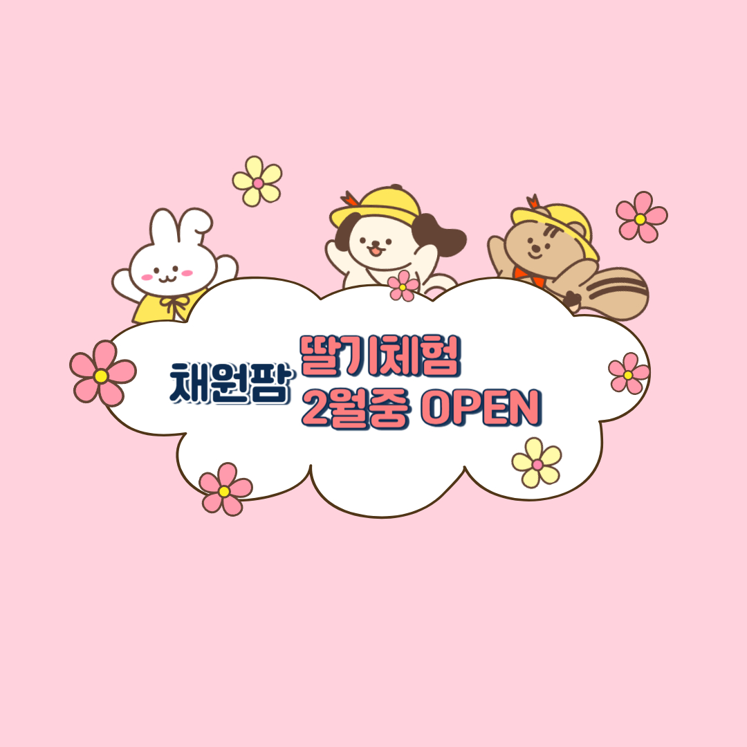 채원팜 딸기농원