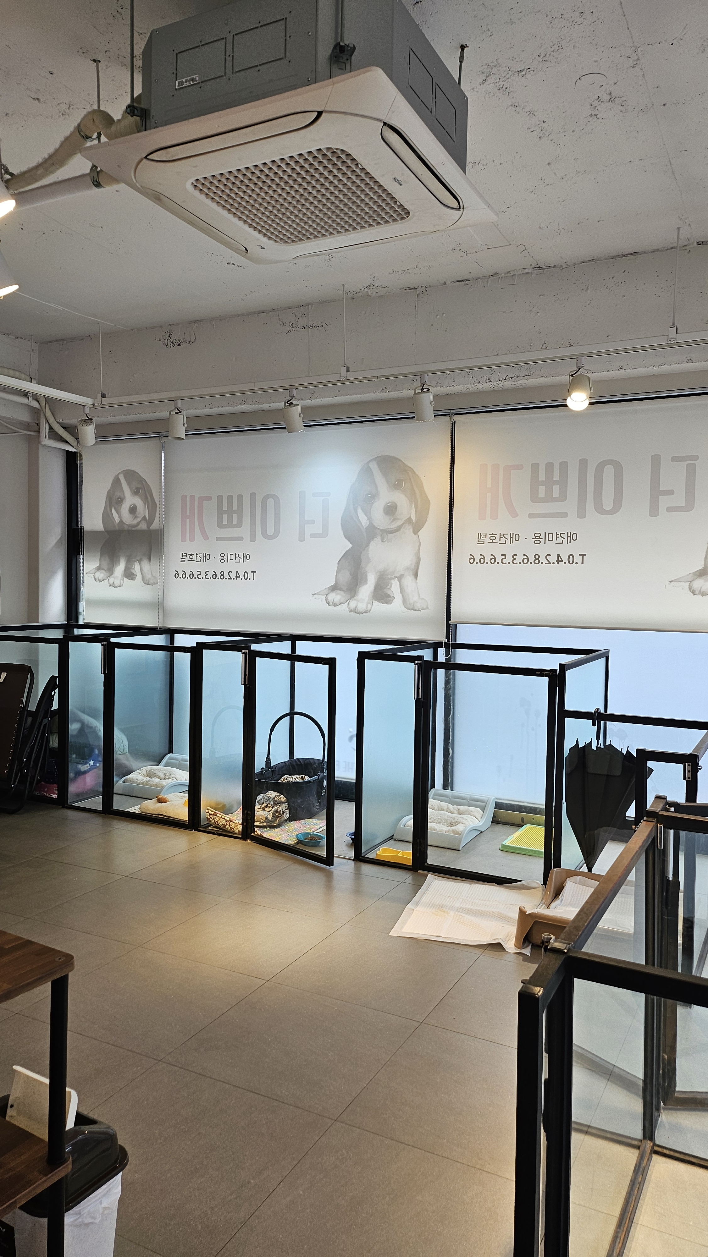 더귀엽개 대표 이미지