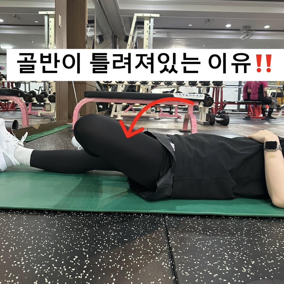 더라이프헬스PT