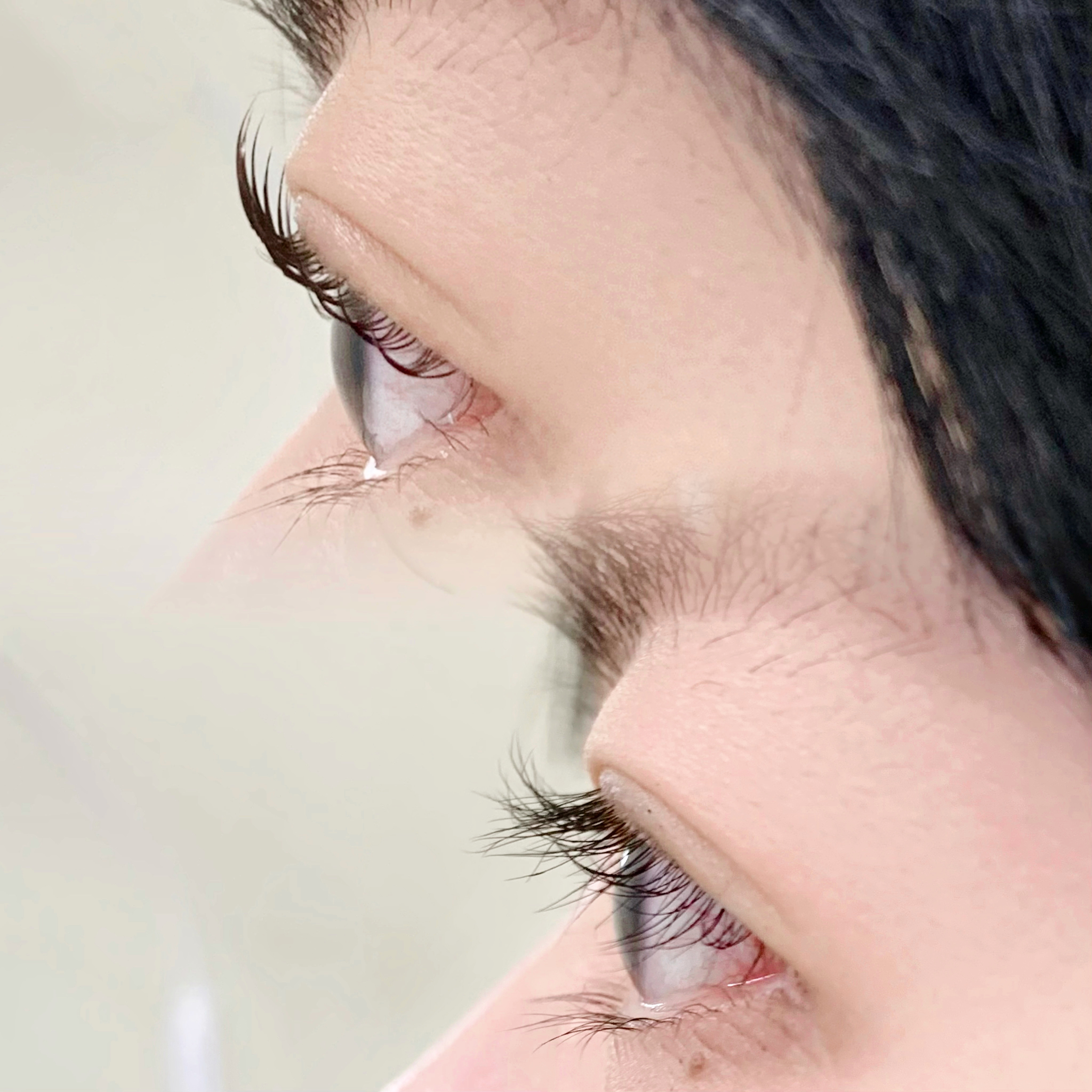 쥬네브로우 세종 대표 이미지