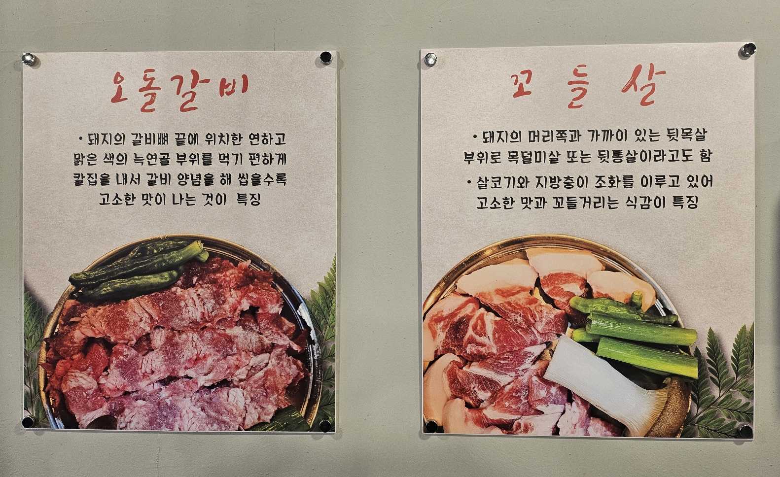 돈뿌리뽈살