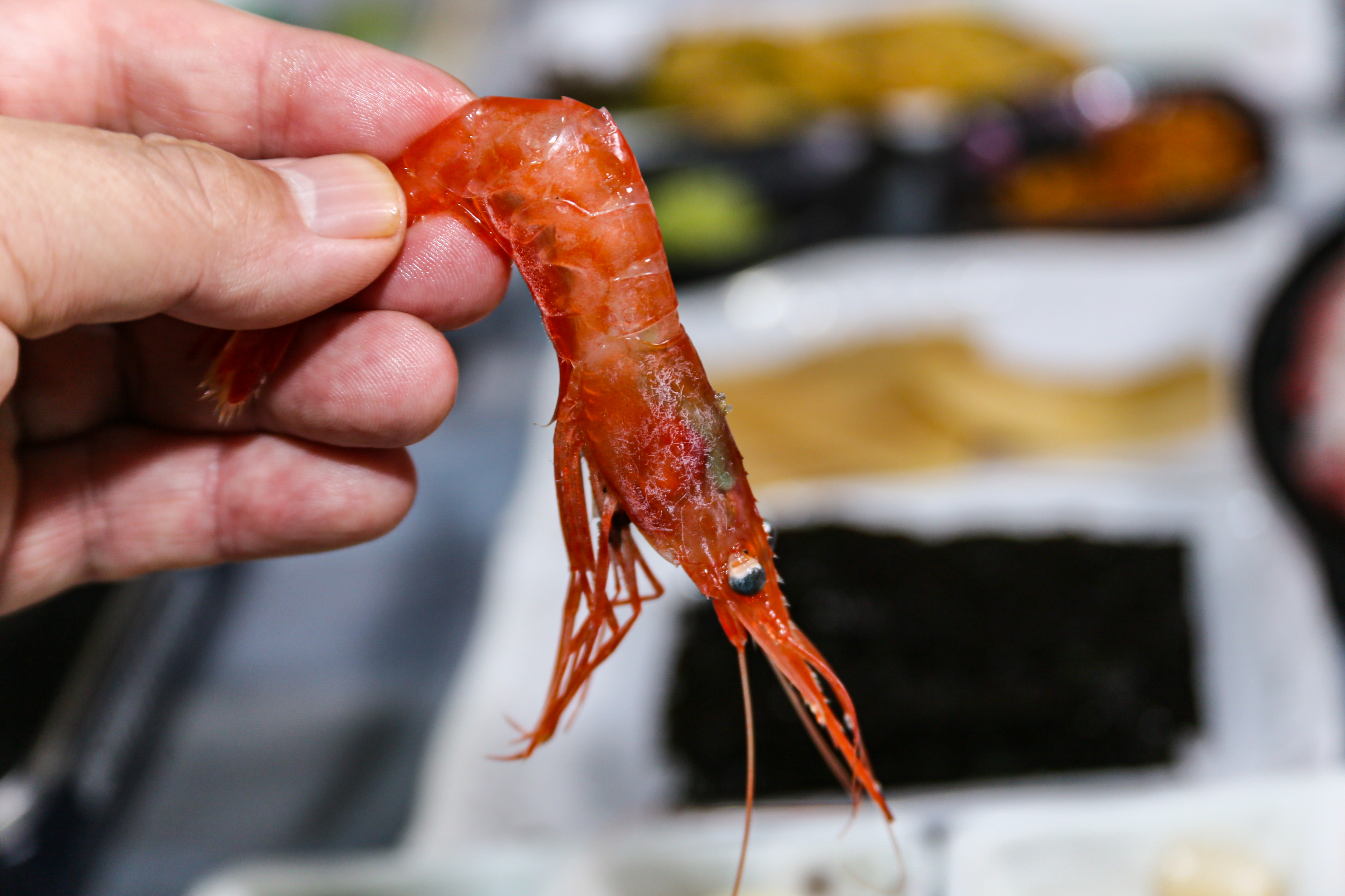 우와횟집 울진 죽변항 내부 또는 관련 모습