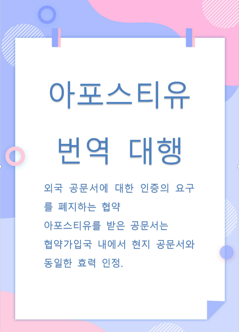 디케이국제여행사