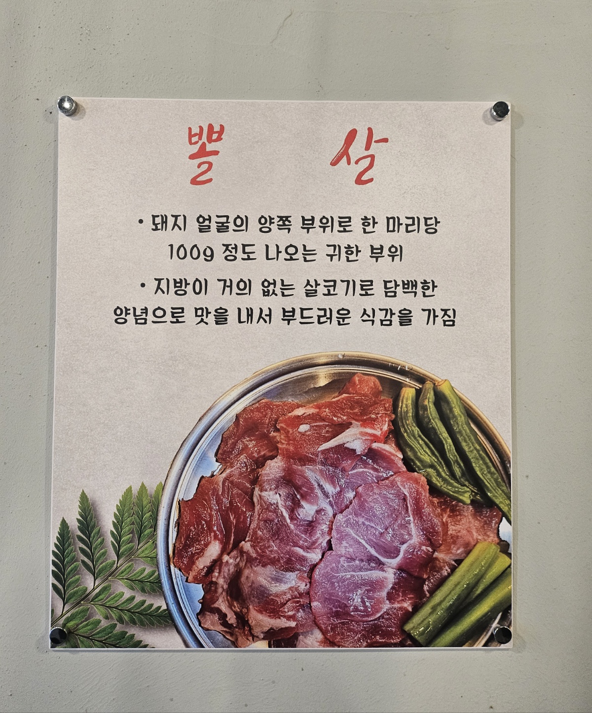 돈뿌리뽈살