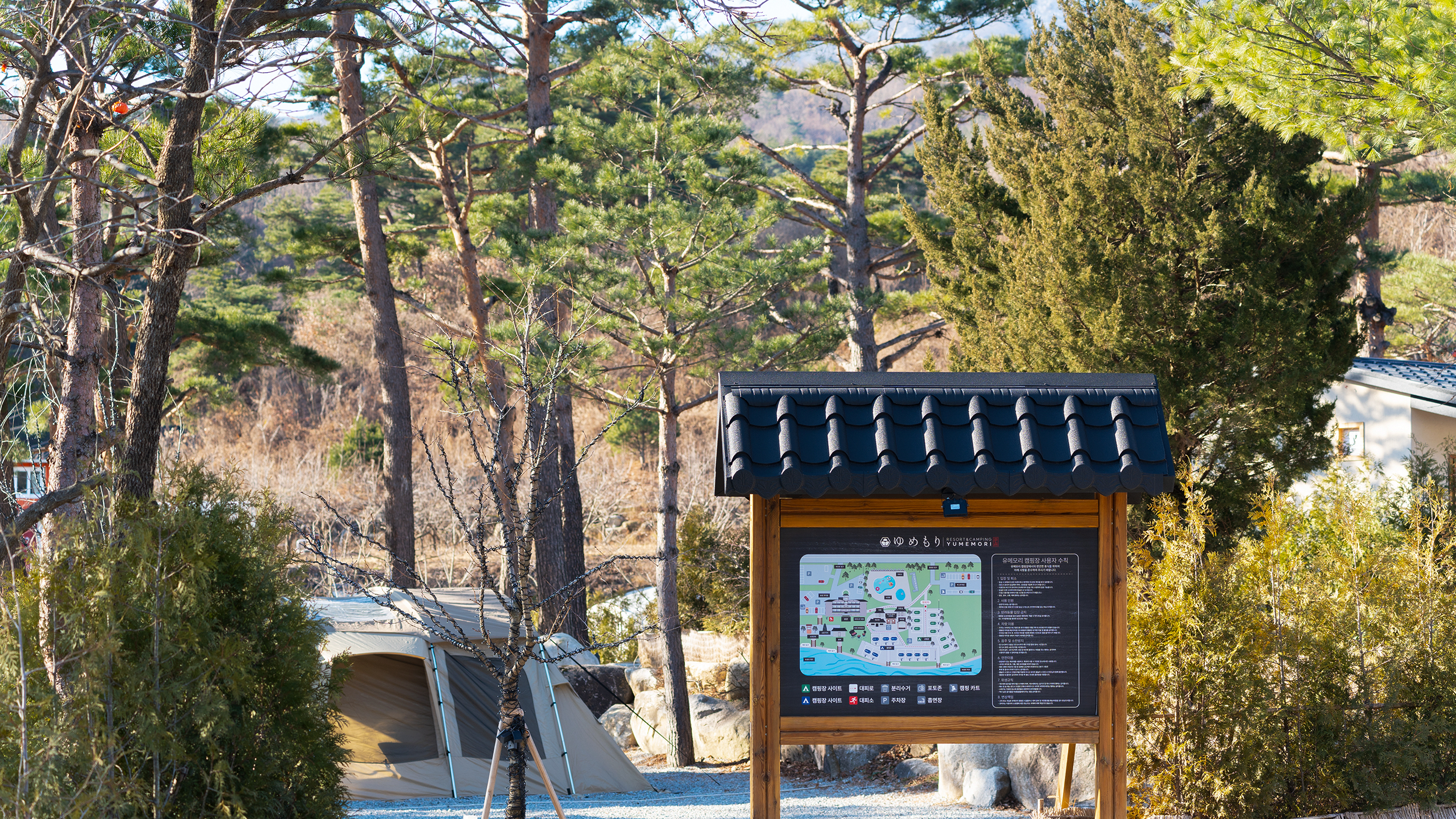 유메모리 캠핑