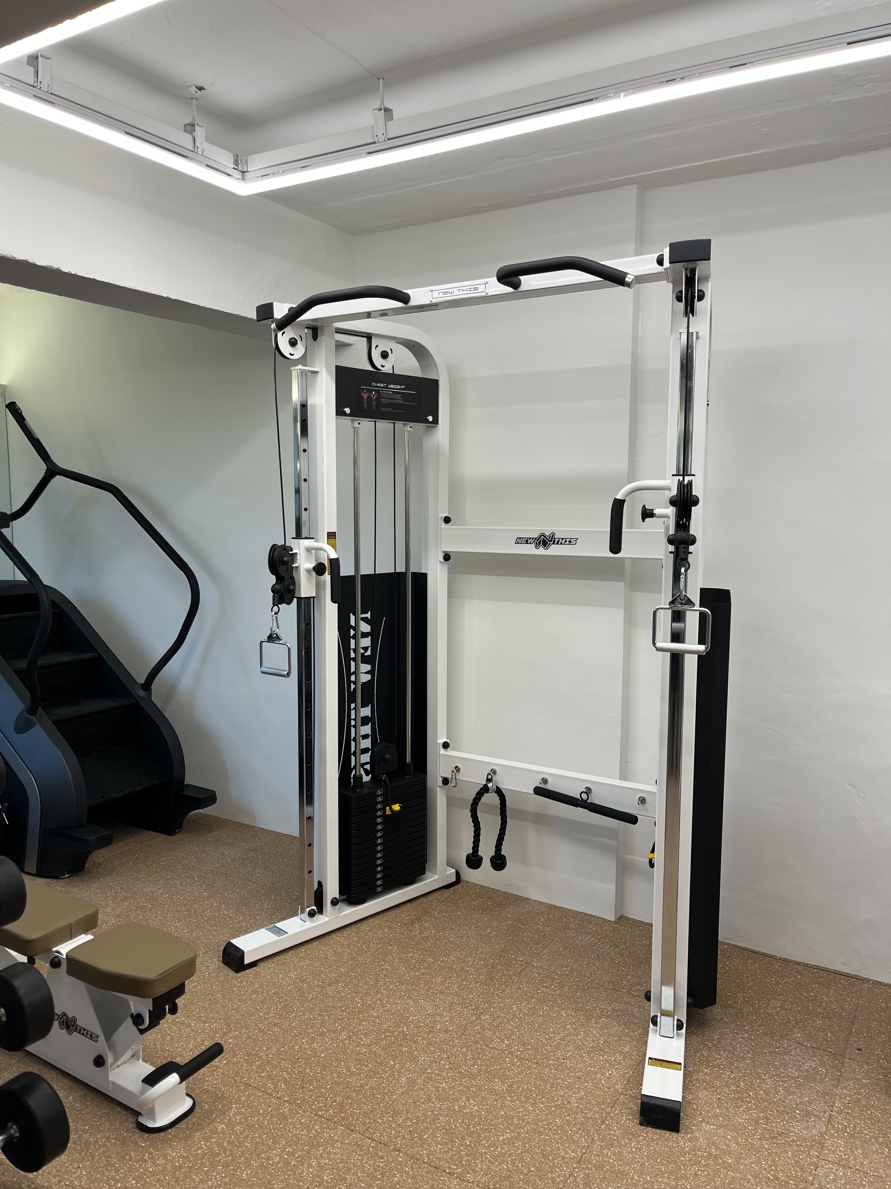 머슬걸 대표 이미지