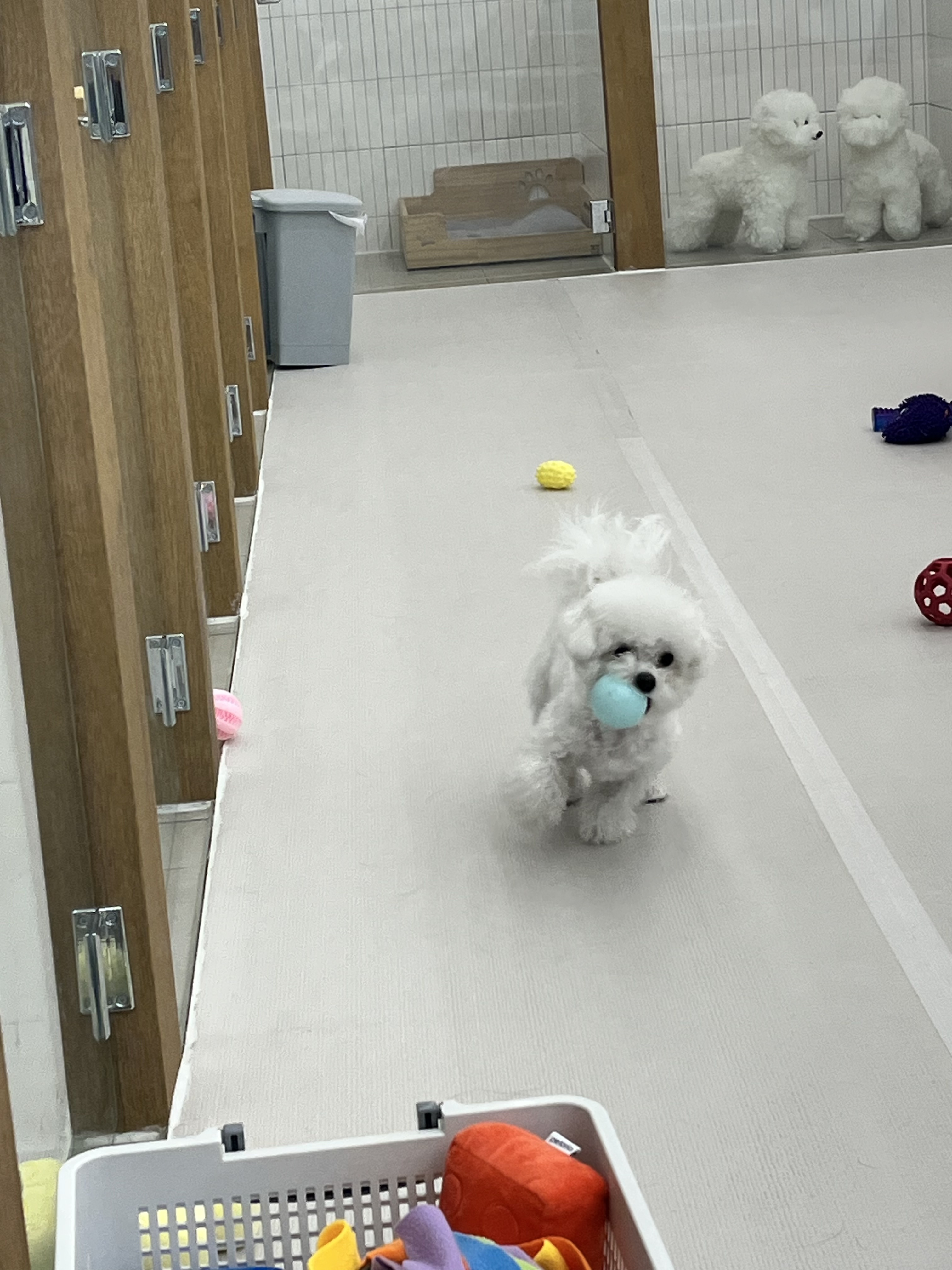 르시앙 수성하이츠점 대표 이미지