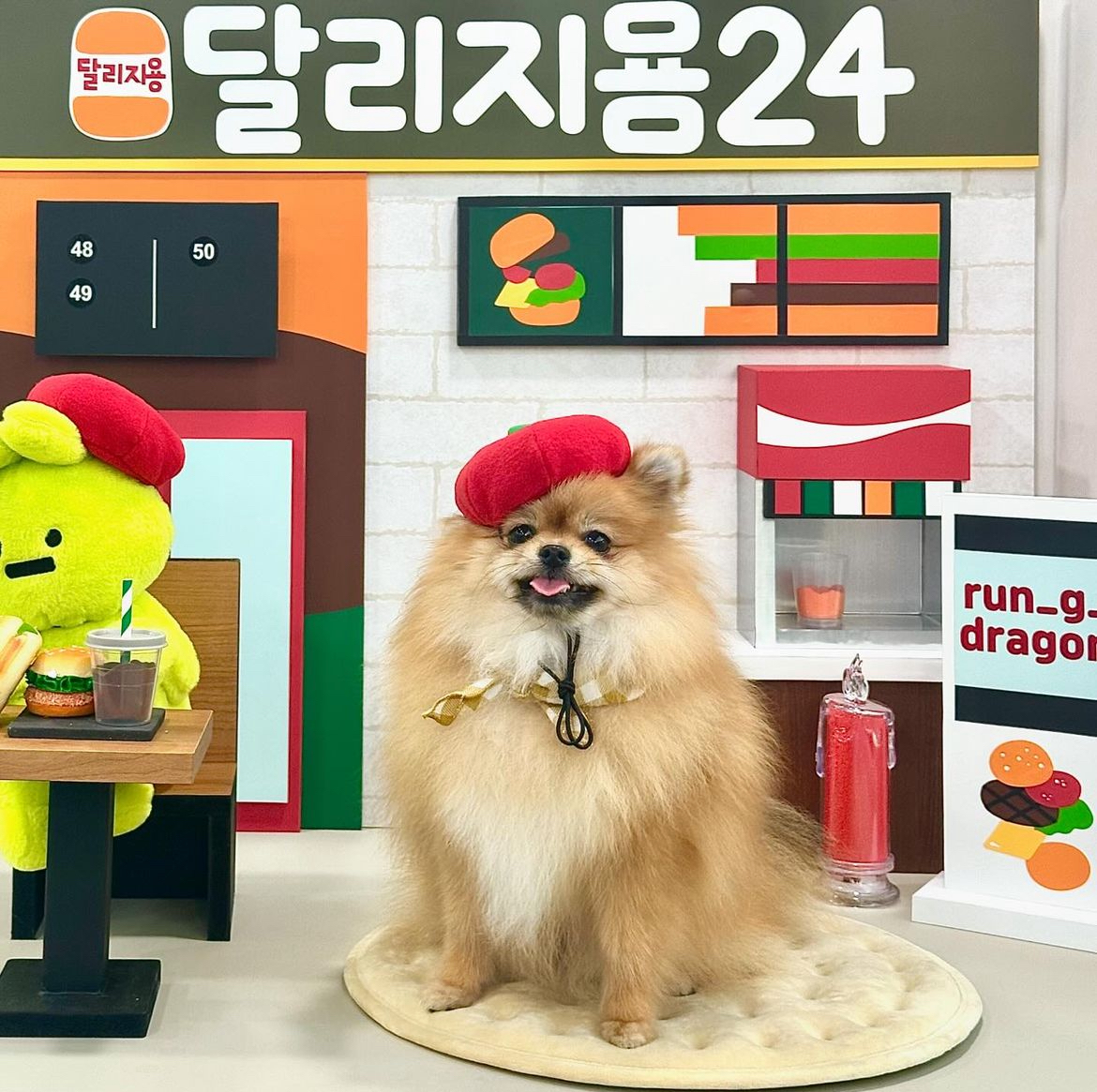 달리지용 24시 대표 이미지