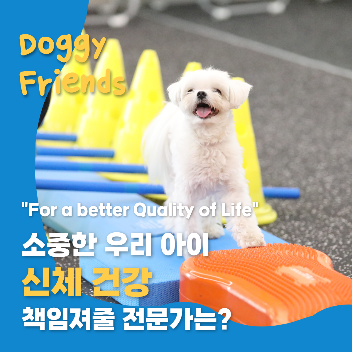 도기프렌즈 웰니스센터 대표 이미지