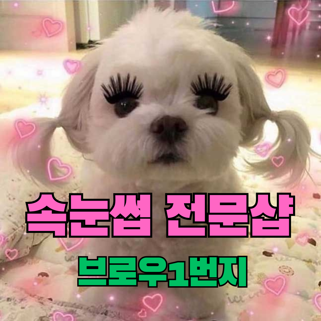 브로우1번지