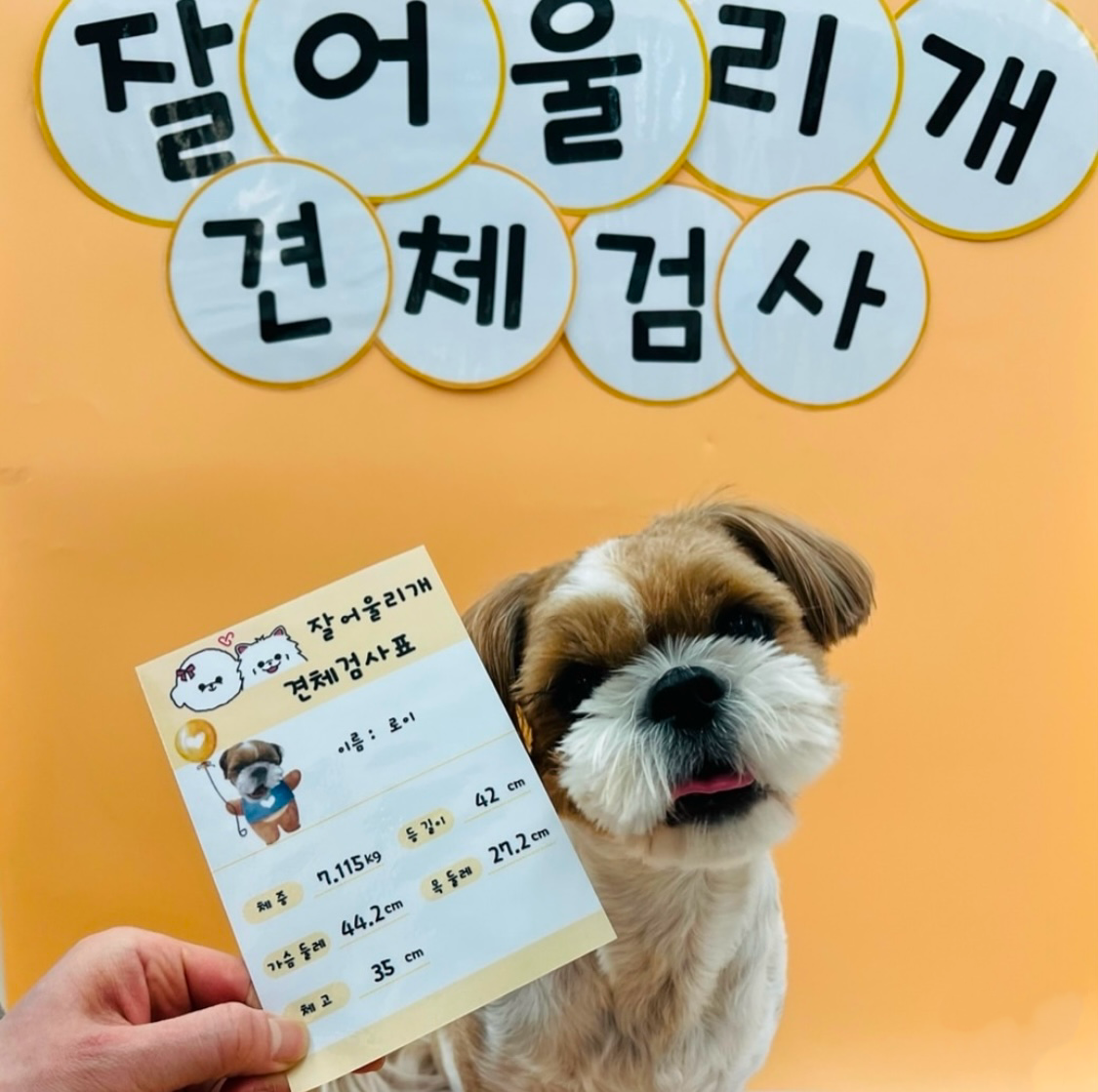 잘어울리개 대표 이미지