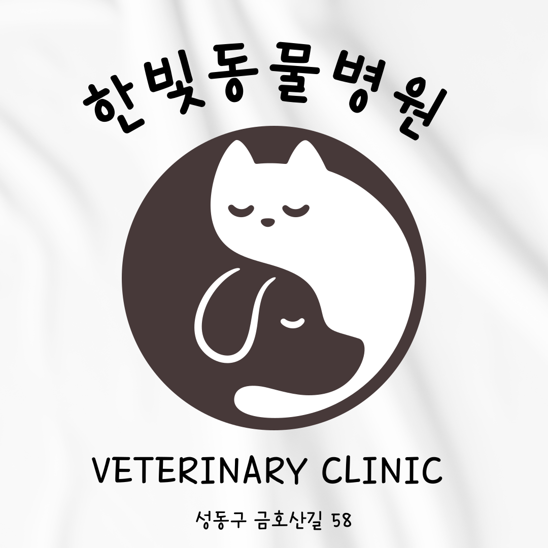 한빛동물병원 대표 이미지