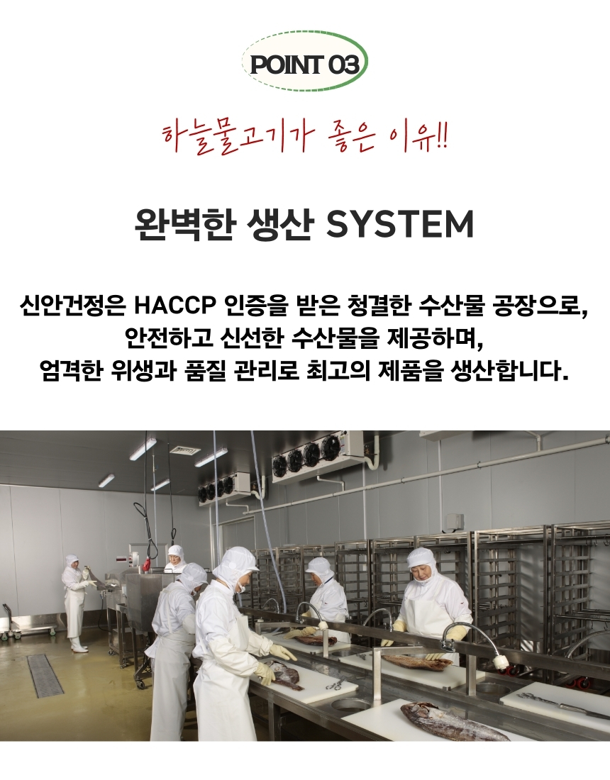 신안건정 하늘물고기