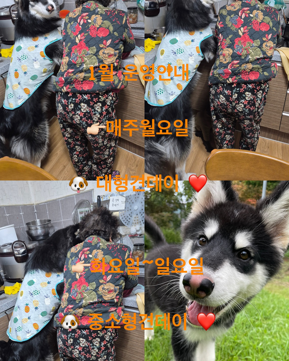 개구쟁이 대표 이미지