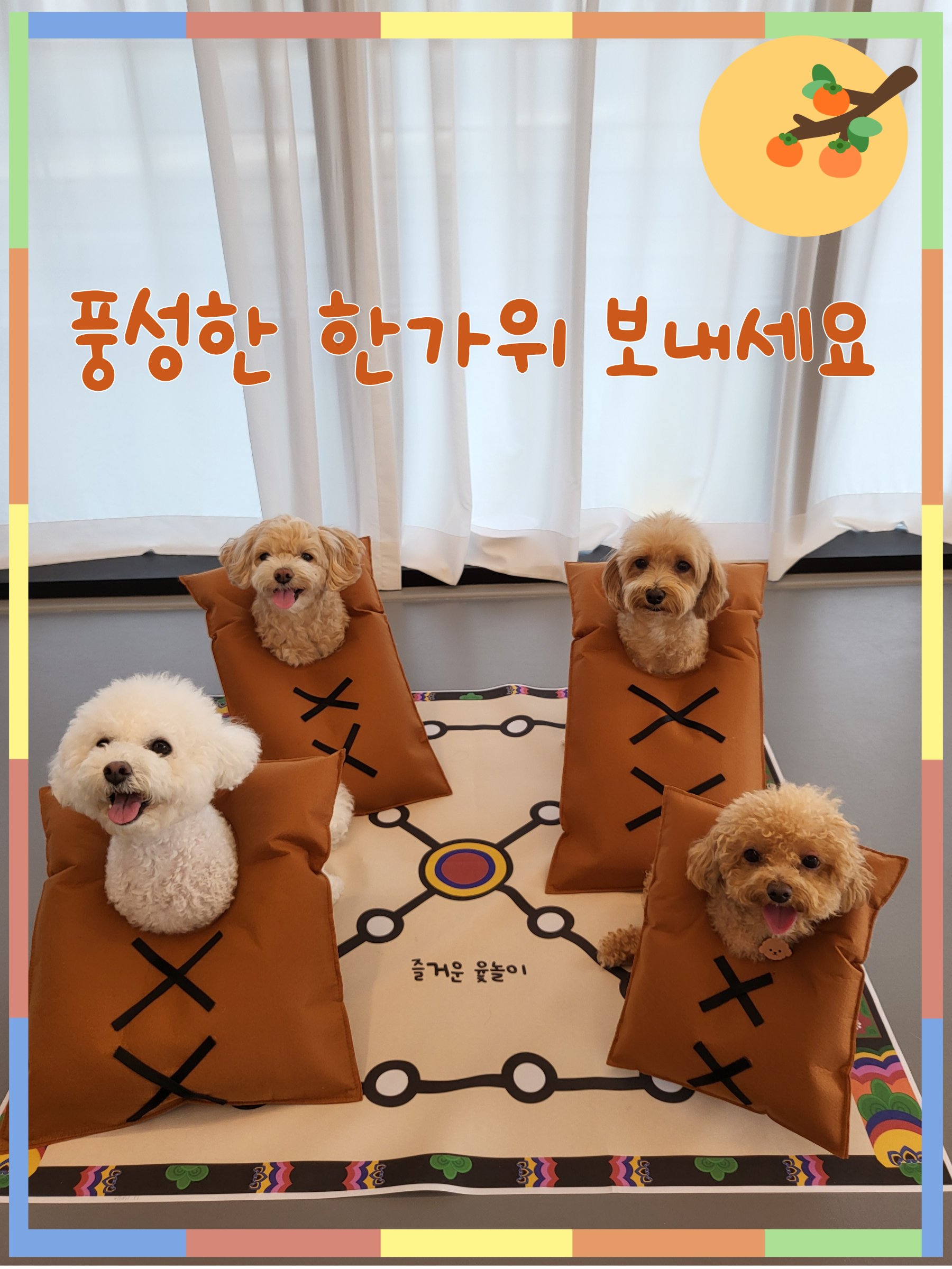 리틀원유치원 대표 이미지