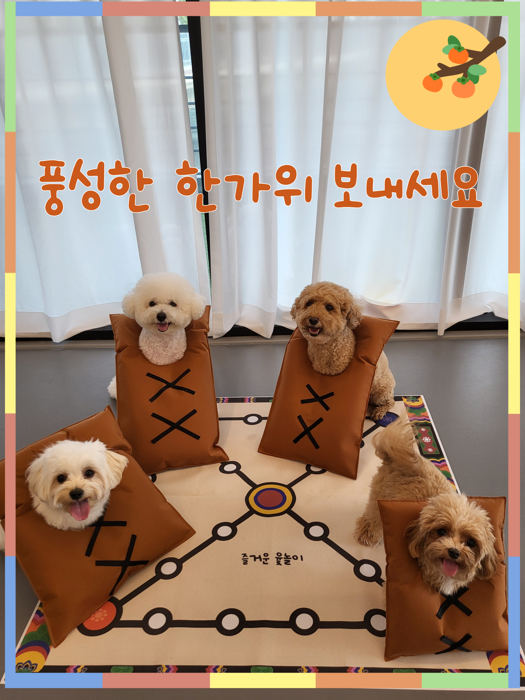 리틀원유치원 대표 이미지