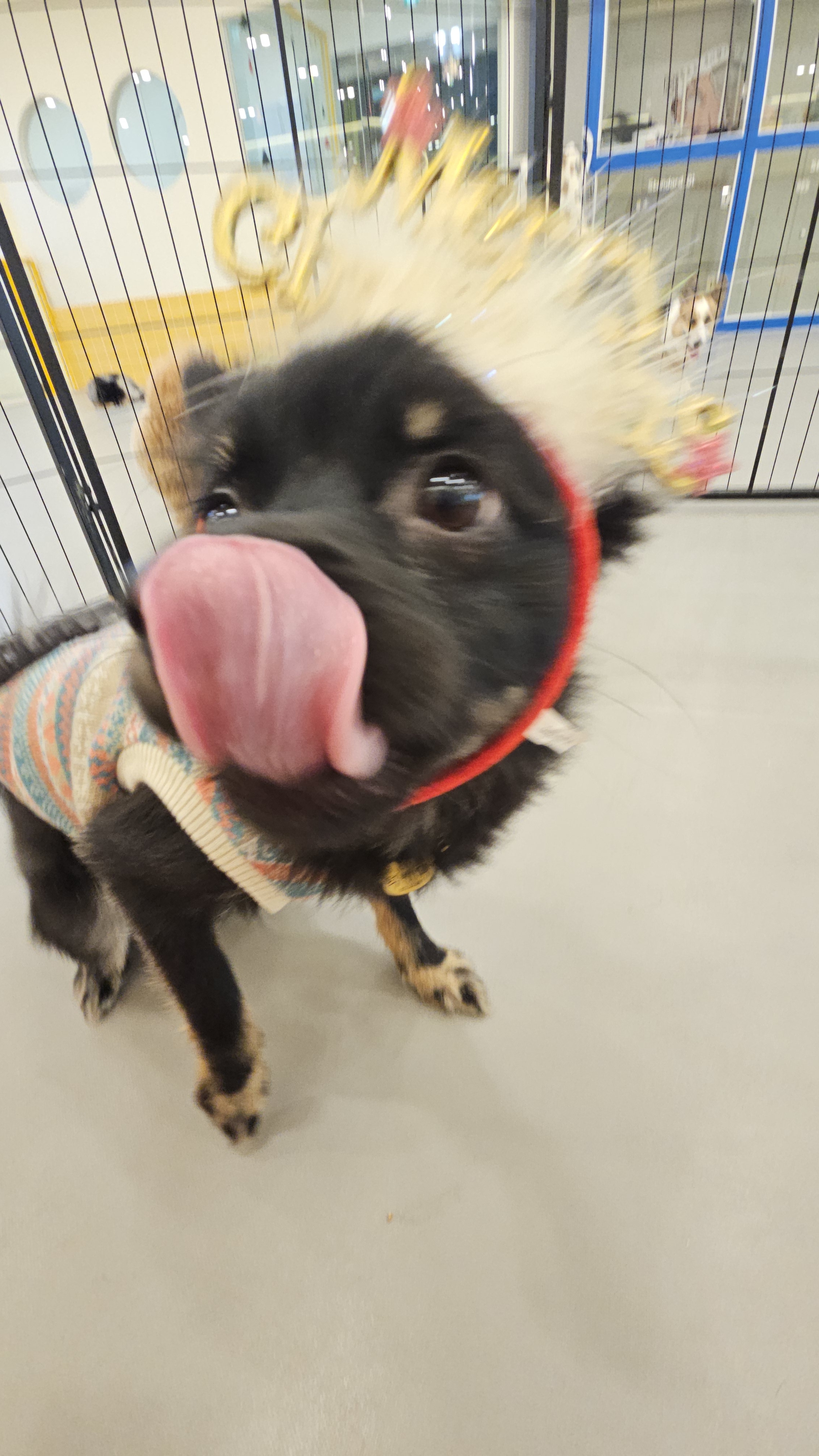 으르렁대 대표 이미지