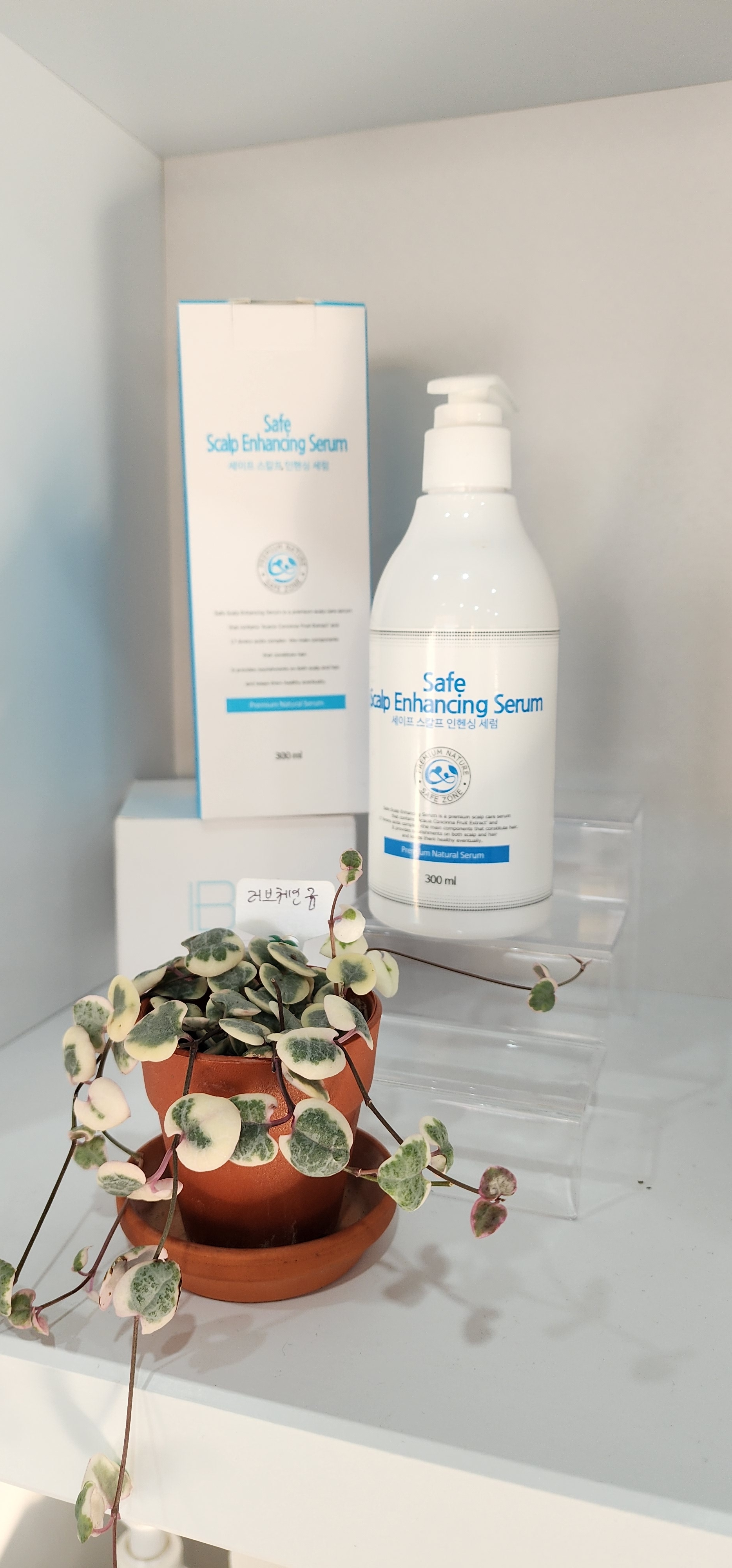 세이프존 개봉점 대표 이미지