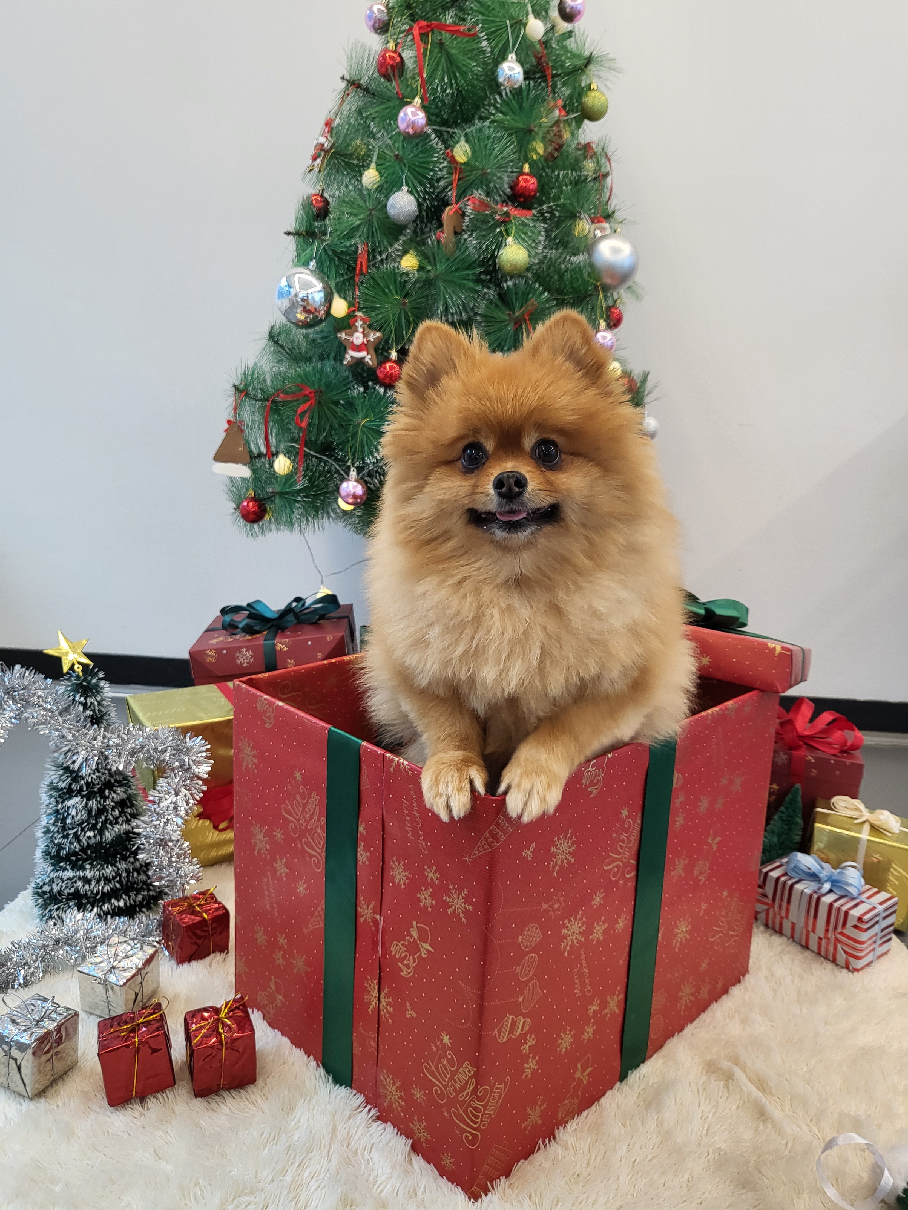 리틀원유치원 대표 이미지