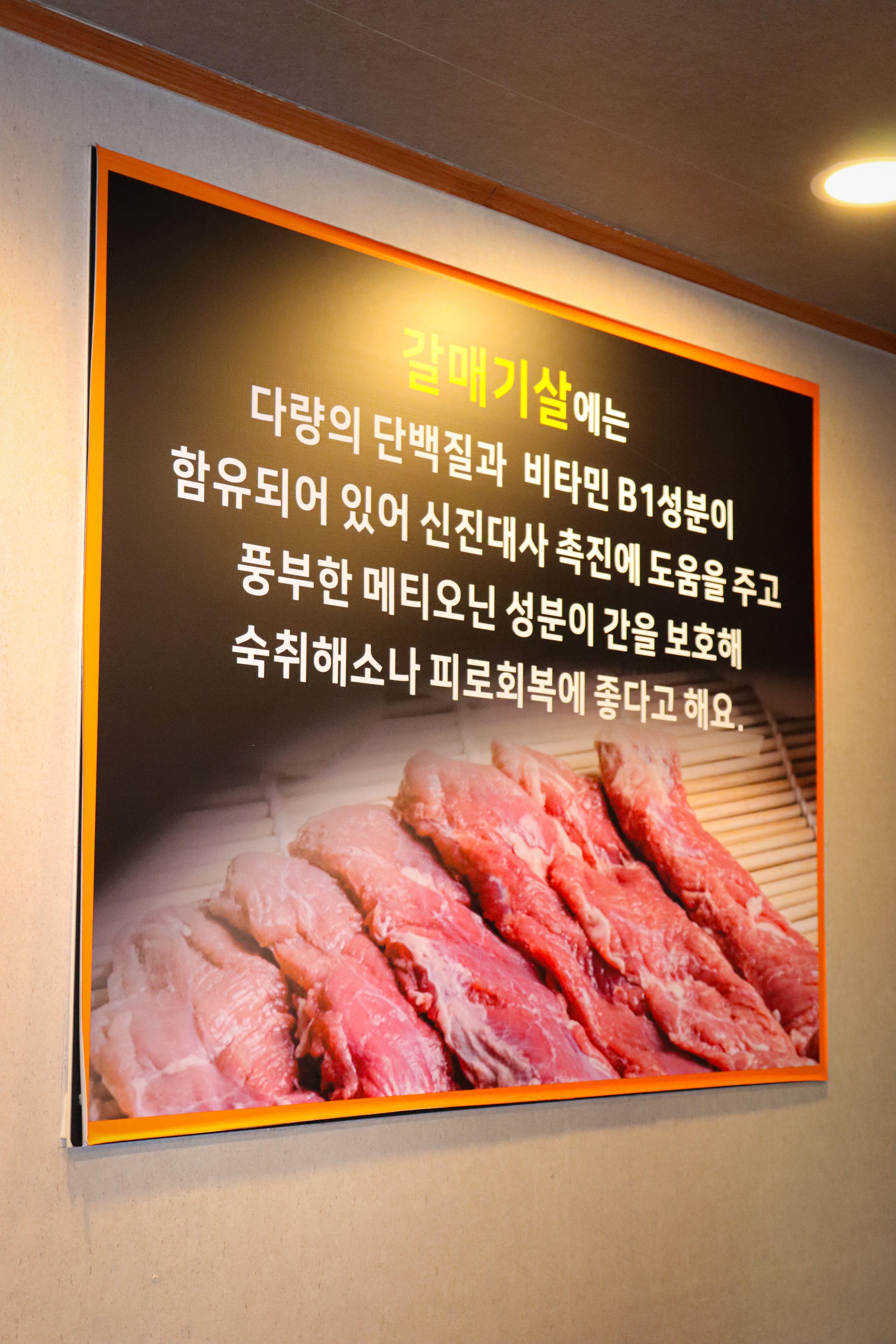 갈매기짱