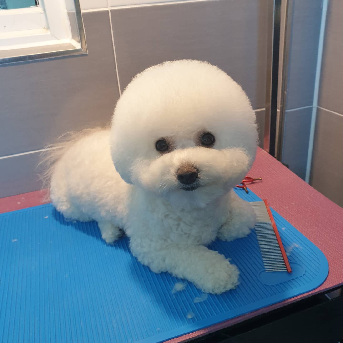 오늘도 이쁘개 대표 이미지